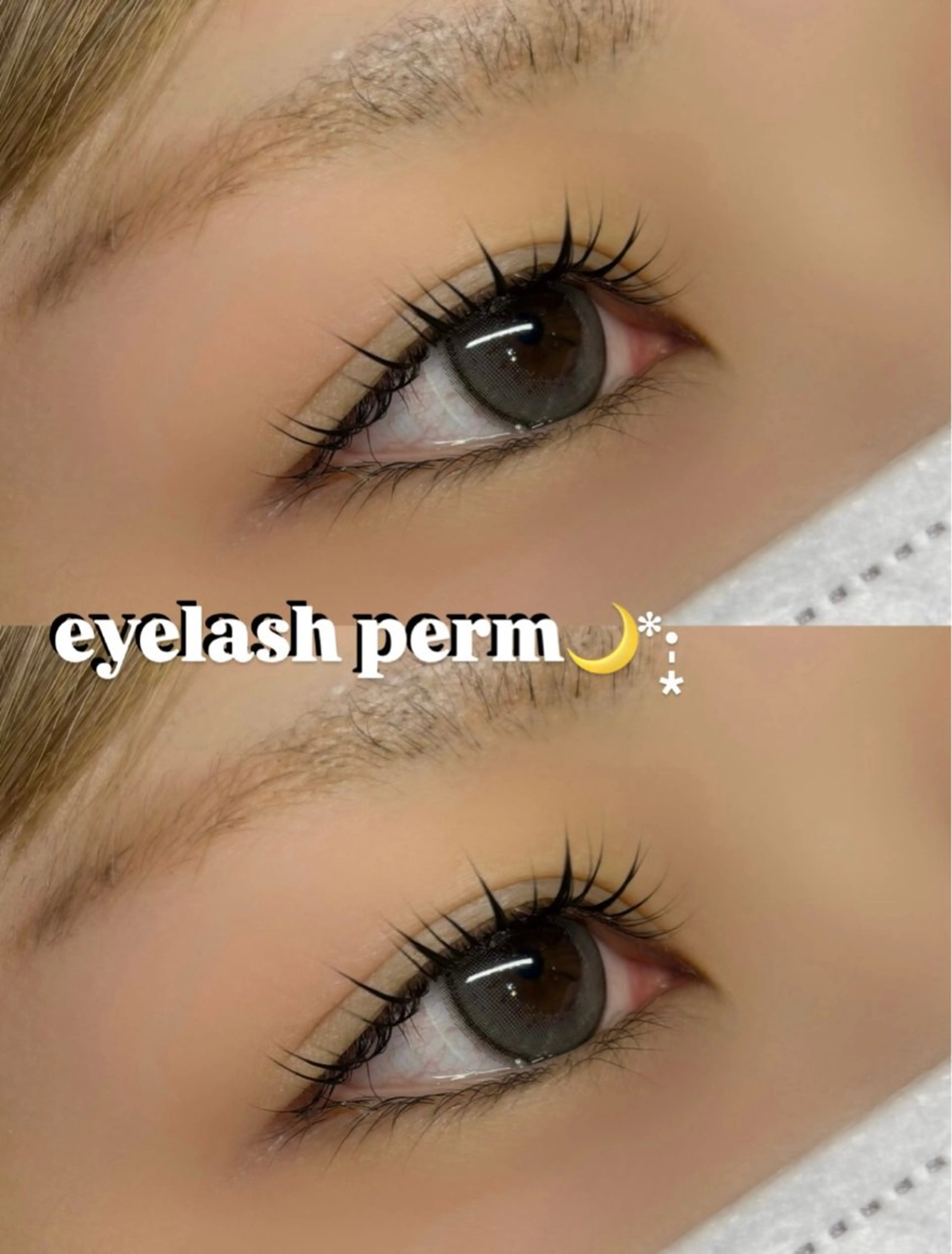 ãããšã¯ã»ããã ððŒSOL seinaððŒã®ãããšã¯ã»ããããã¶ã€ã³