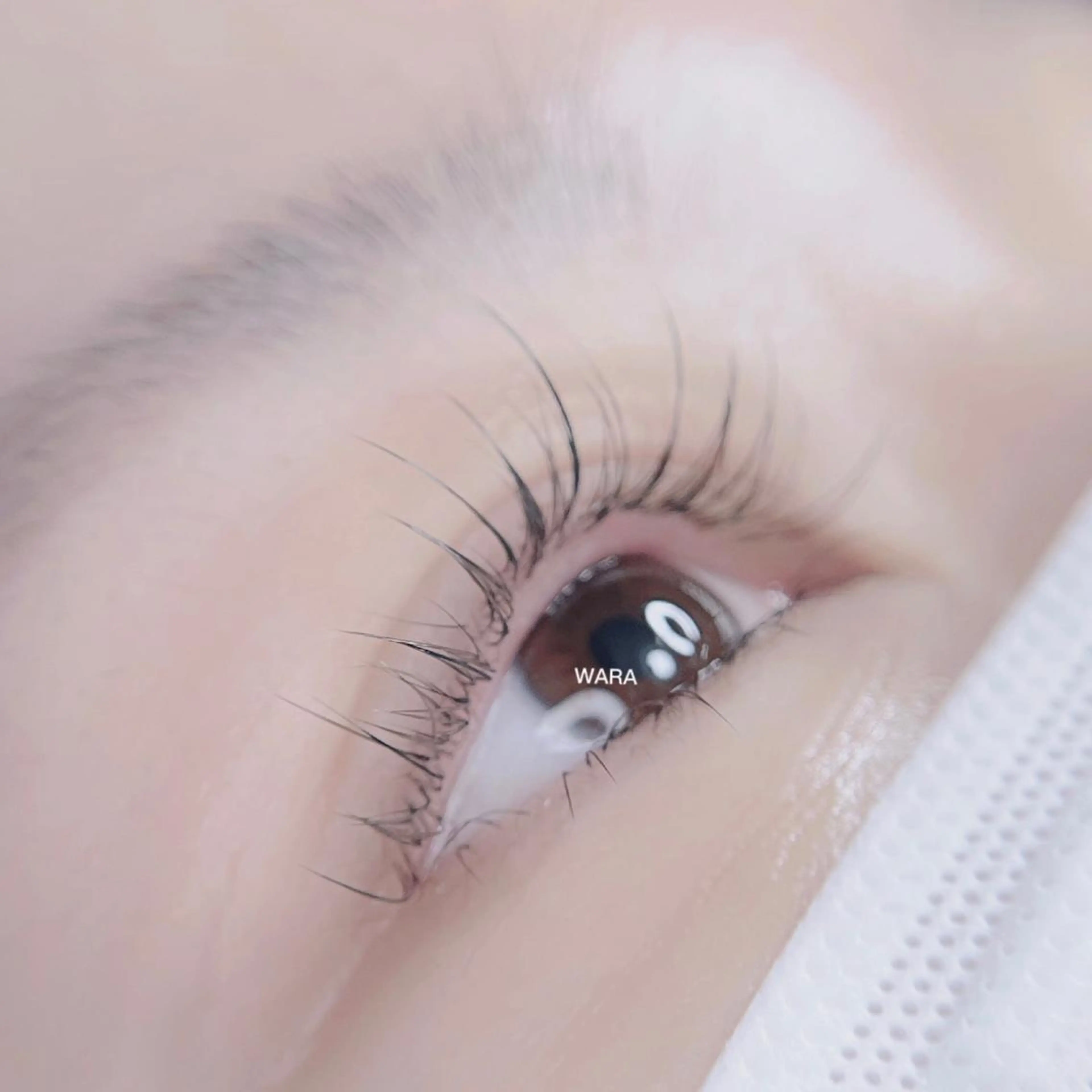 マツエク・マツパ foisalon 大久保店のマツエク・マツパデザイン