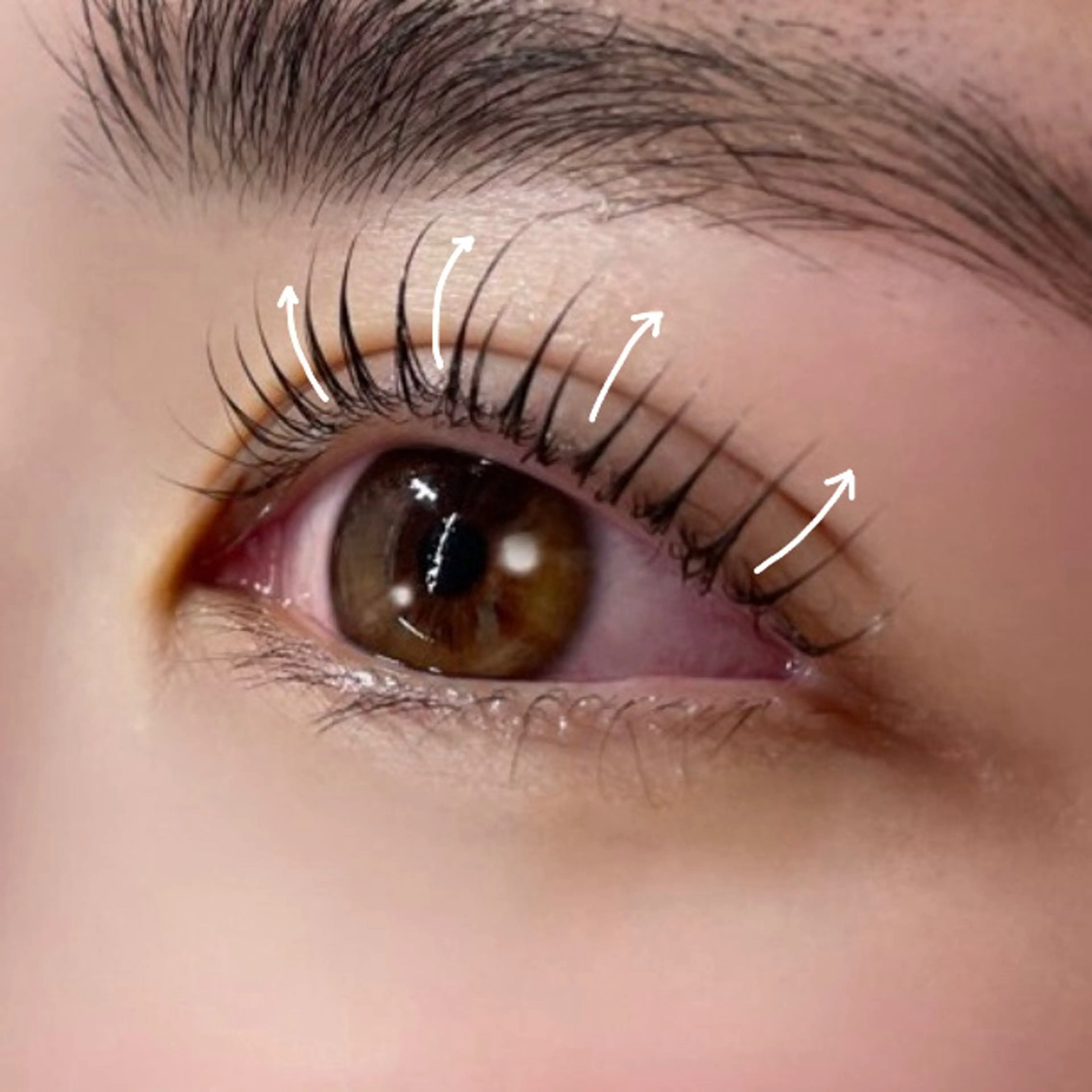 🫧似合わせ まつ毛パーマ🫧コーティング美容液付き♡の写真