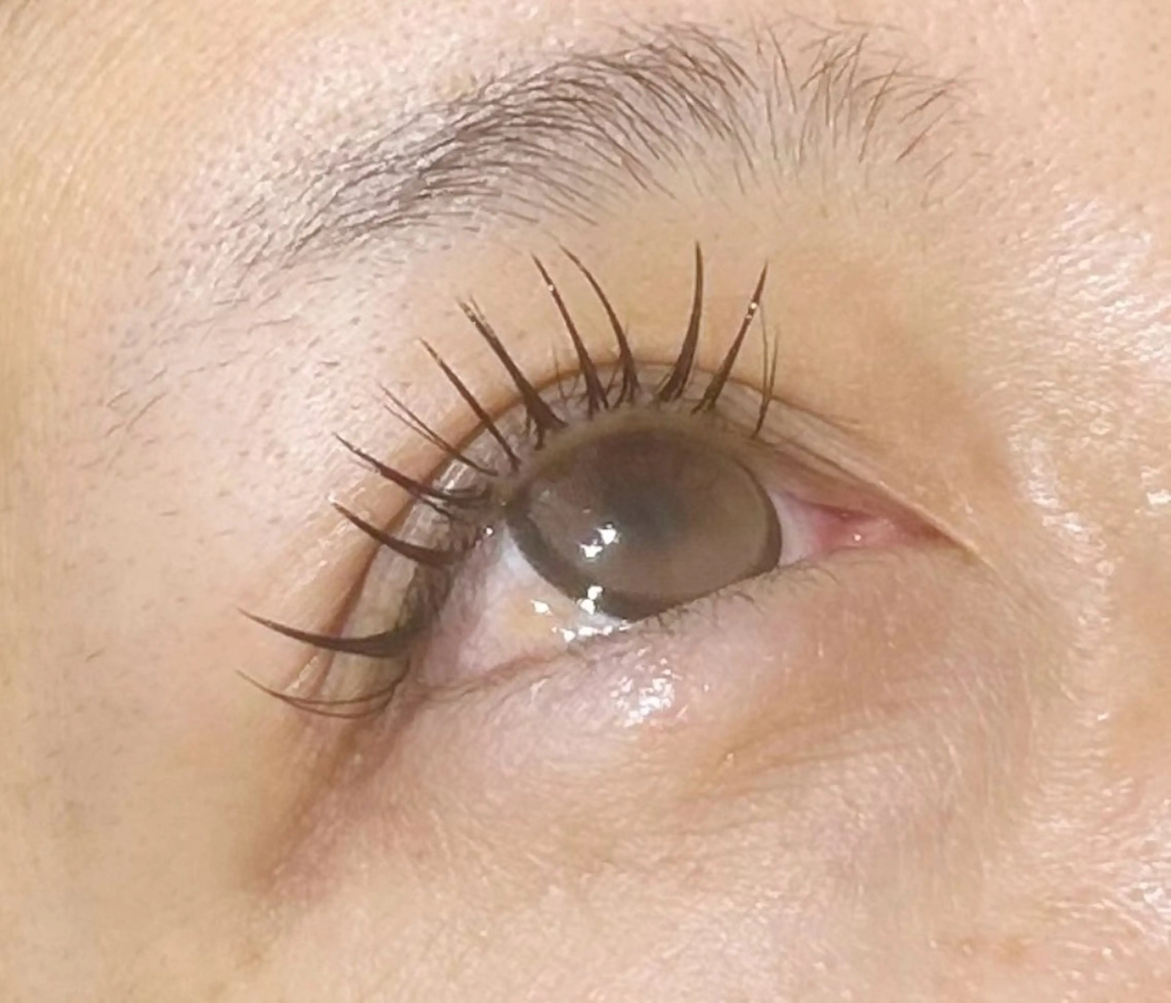 マツエク・マツパ バインドロック MAQUIA 古河店 大石のマツエク・マツパデザイン