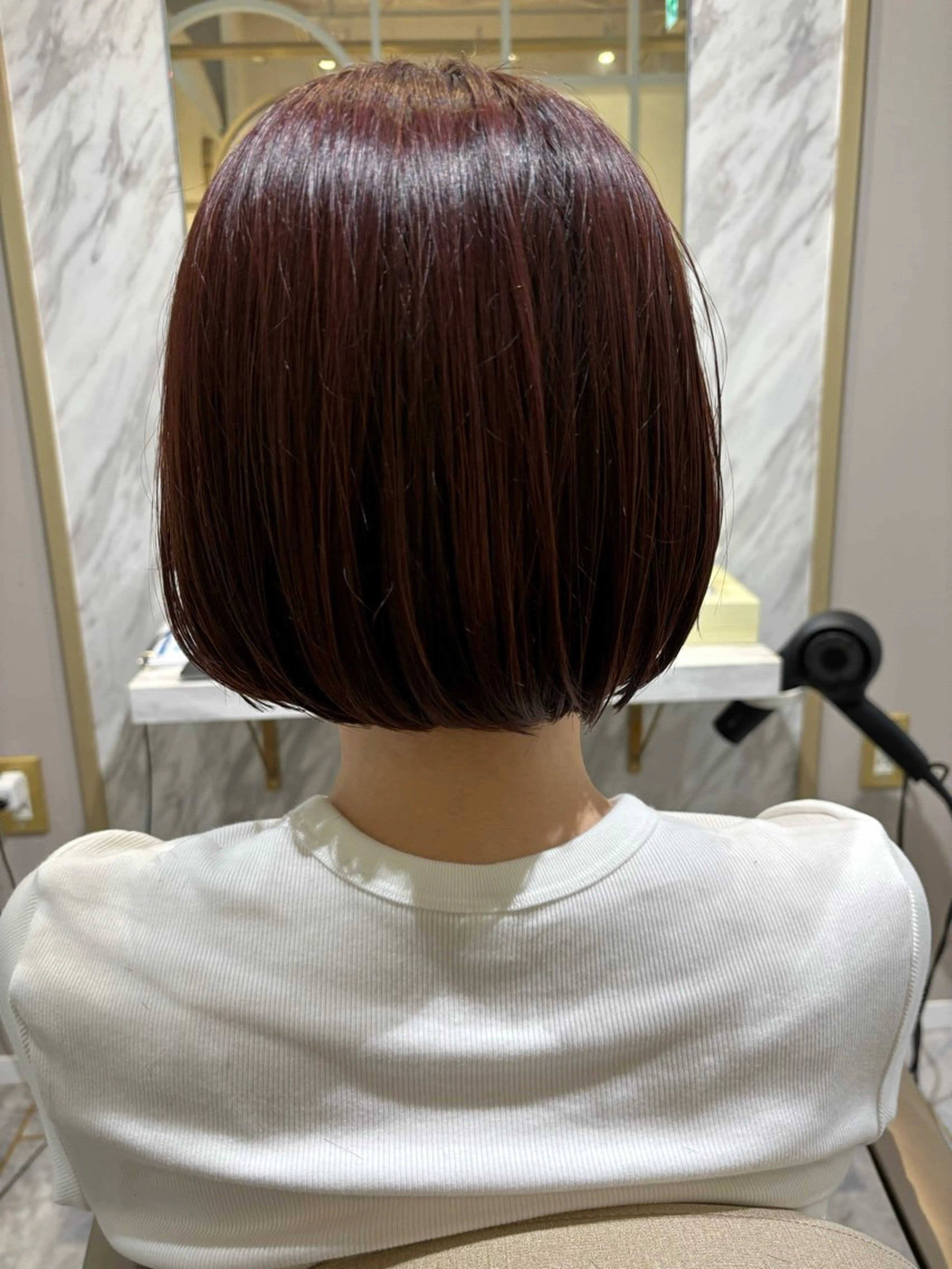 ショート カラー 辻本 夏子のヘアスタイル
