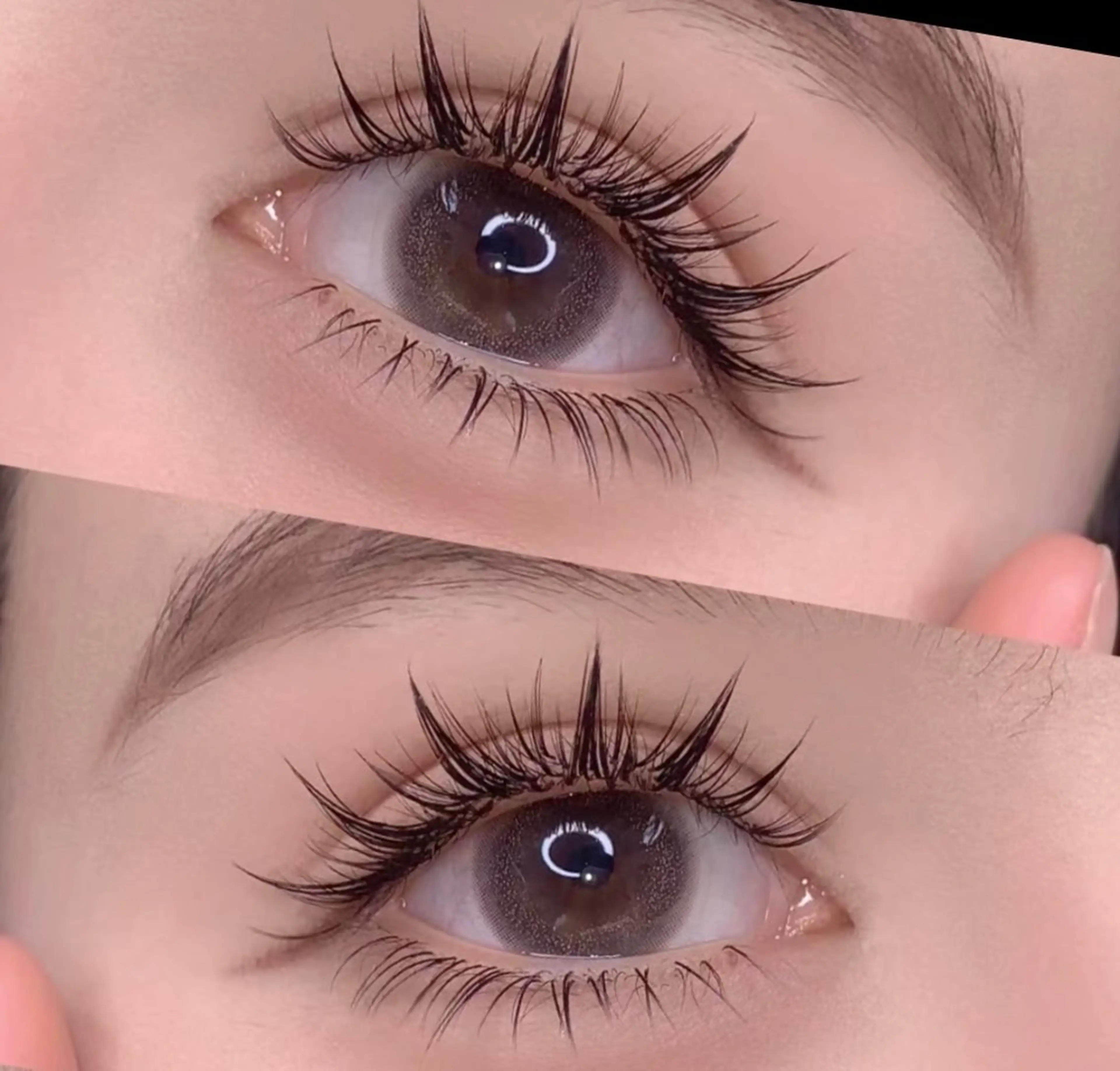 🦄🦄ボリューム🌸漫画550本➕コーティング、オフ550円。下まつ毛追加🉑。二回目+1000の写真