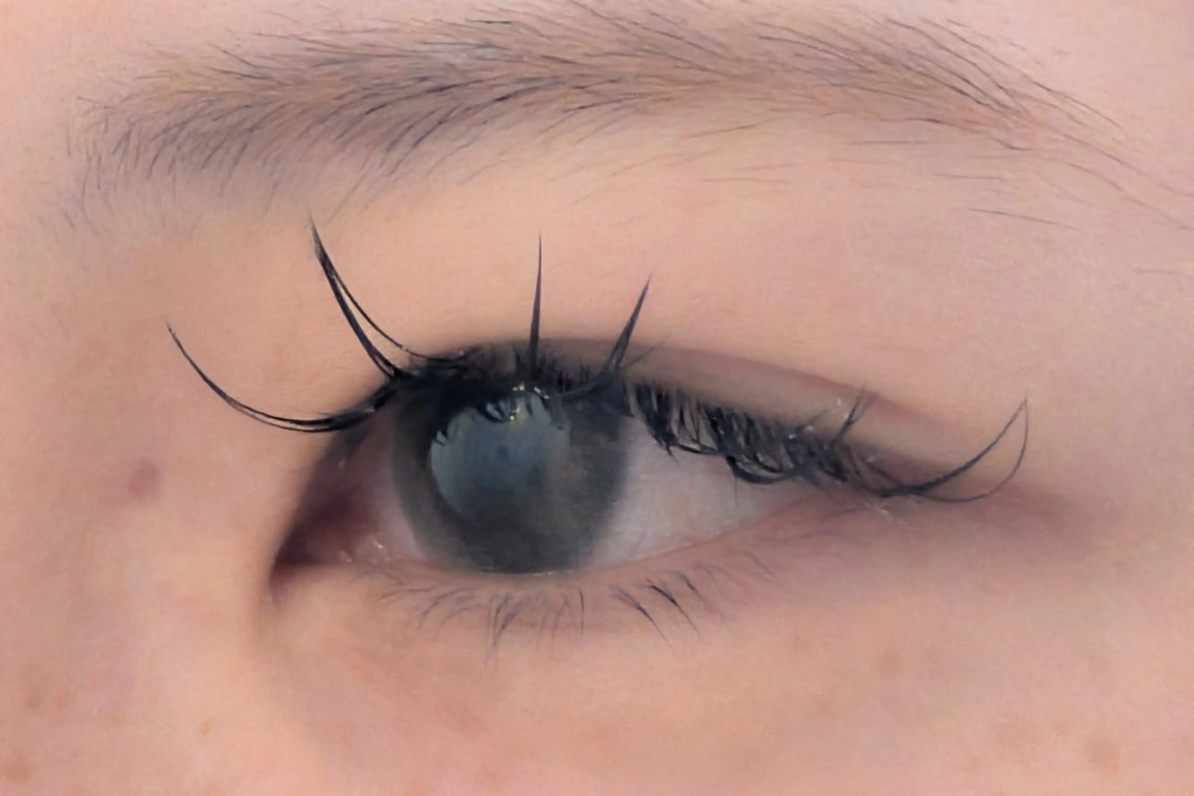 マツエク・マツパ Cカール Sun Brown Ryu-gaのマツエク・マツパデザイン