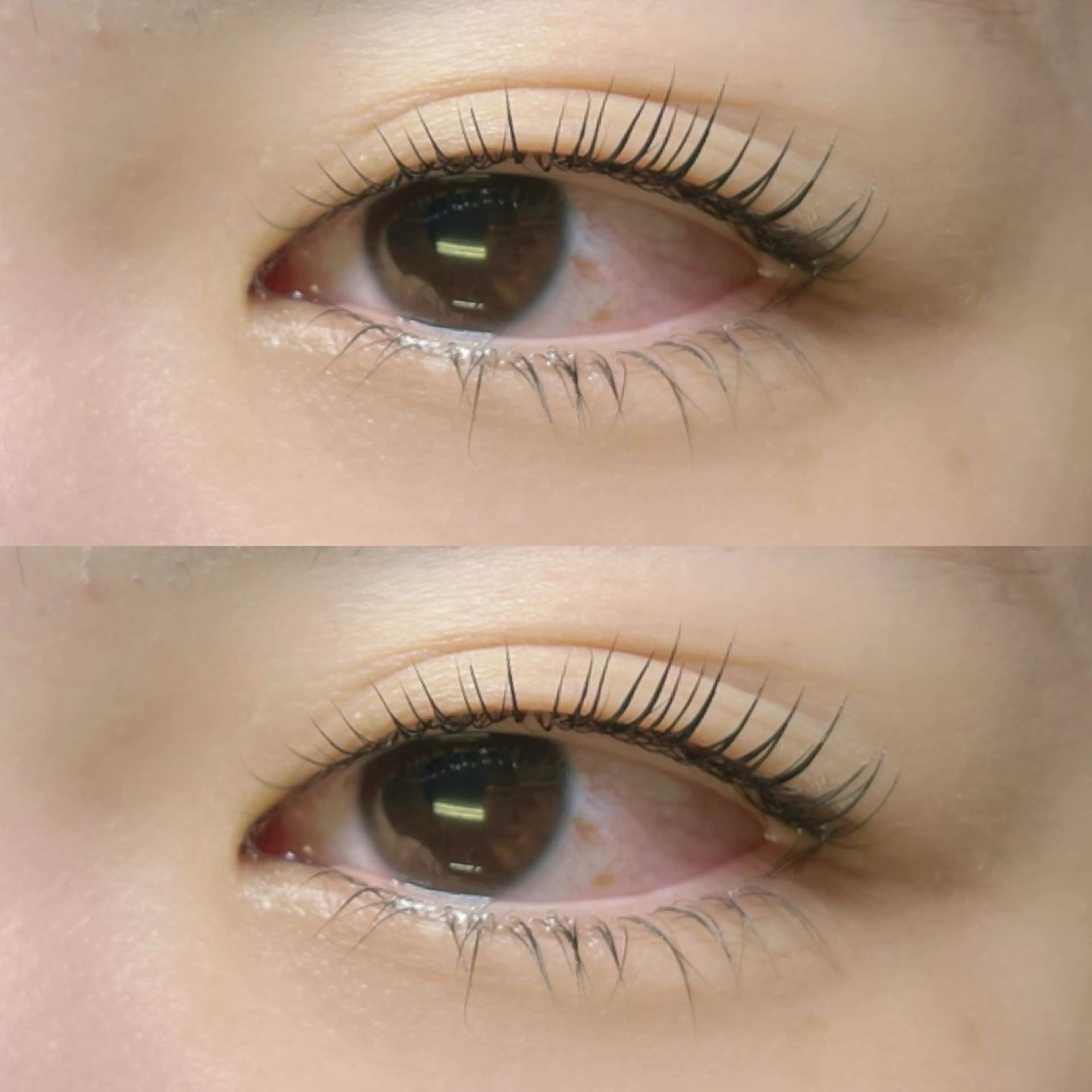 マツエク・マツパ マツパ リフュージュ🌷 カホのマツエク・マツパデザイン