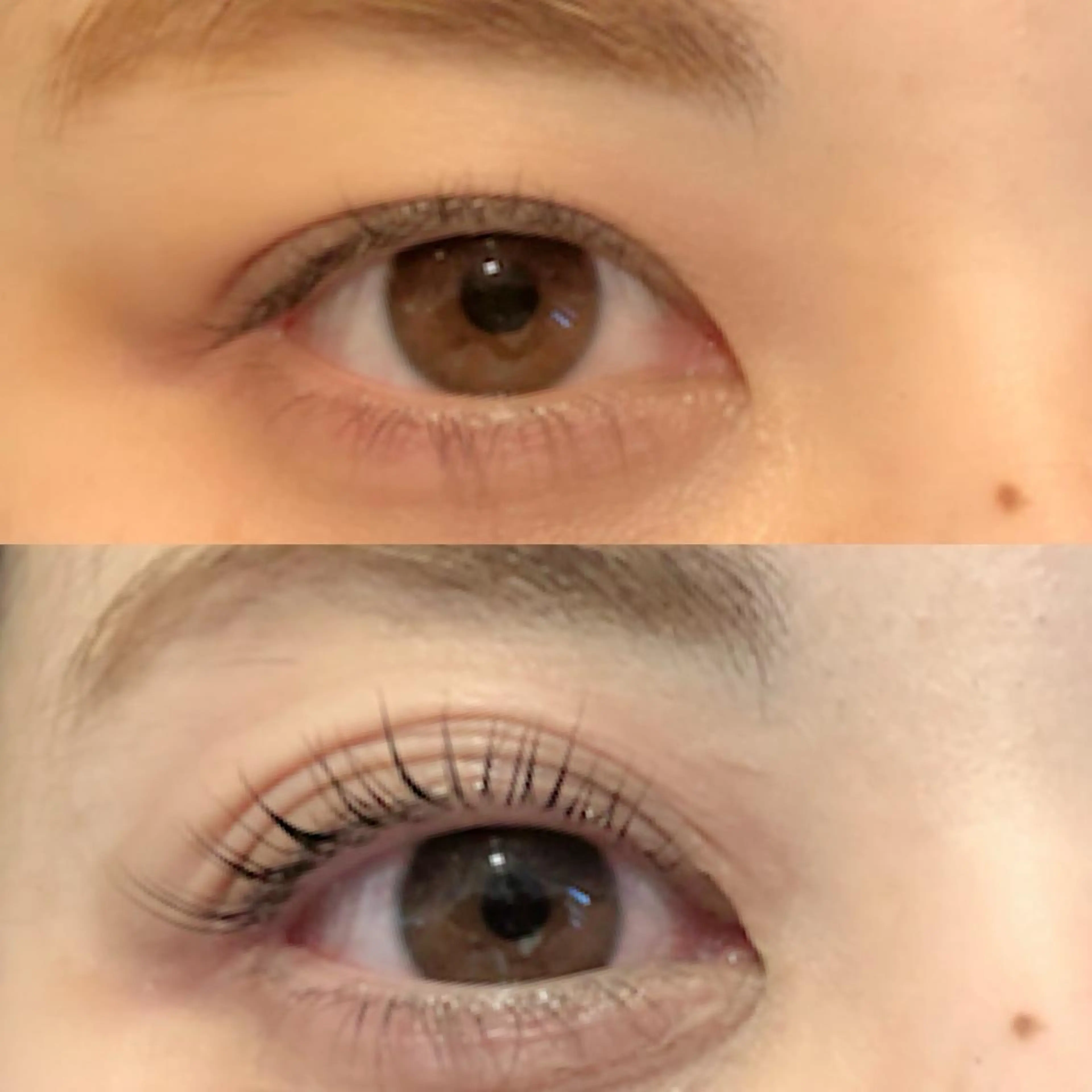 マツエク・マツパ マツパ yoshino yukoのマツエク・マツパデザイン