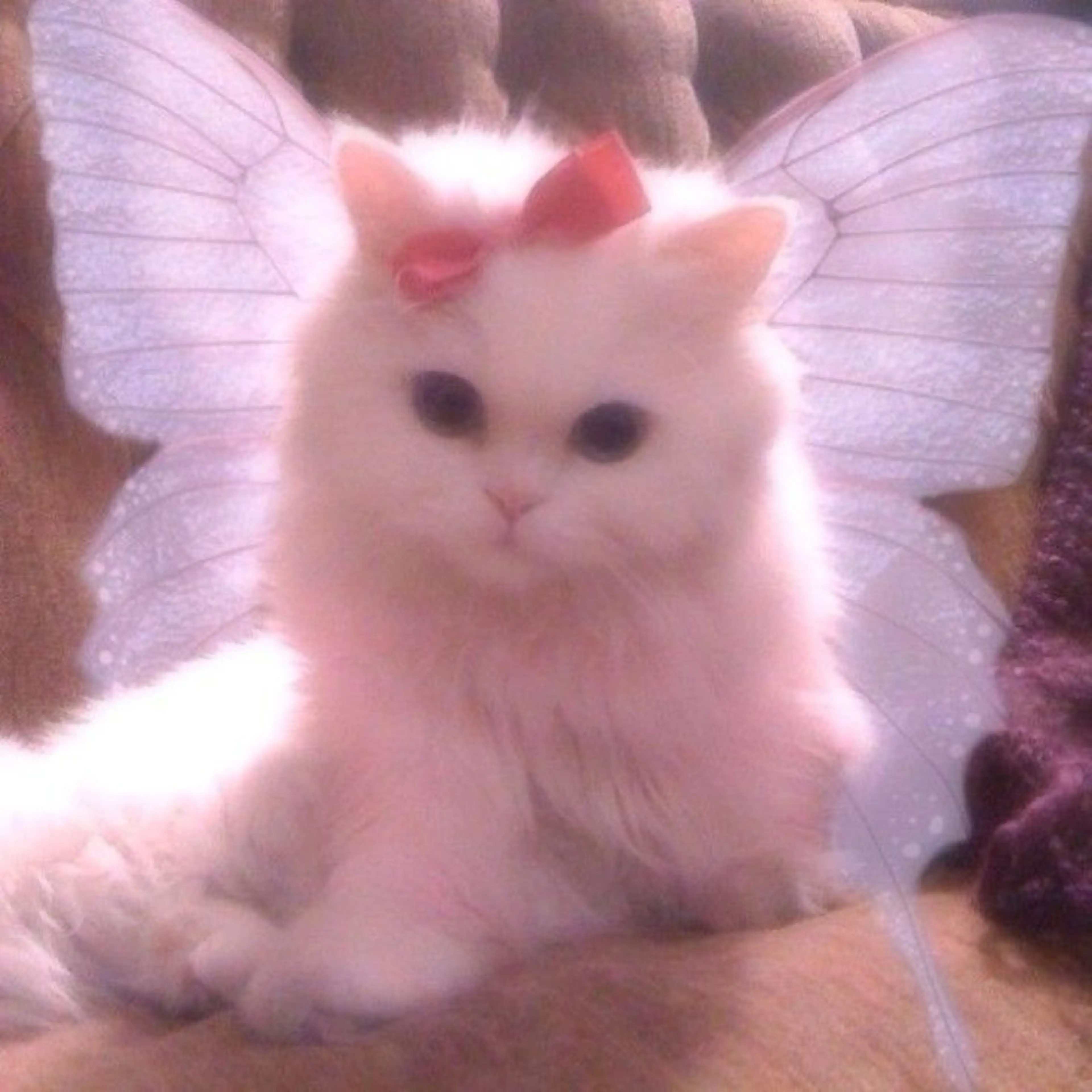 マツエク・マツパ 🎀eyelist. mizuki🐈‍⬛の眉毛・アイブロウイメージ