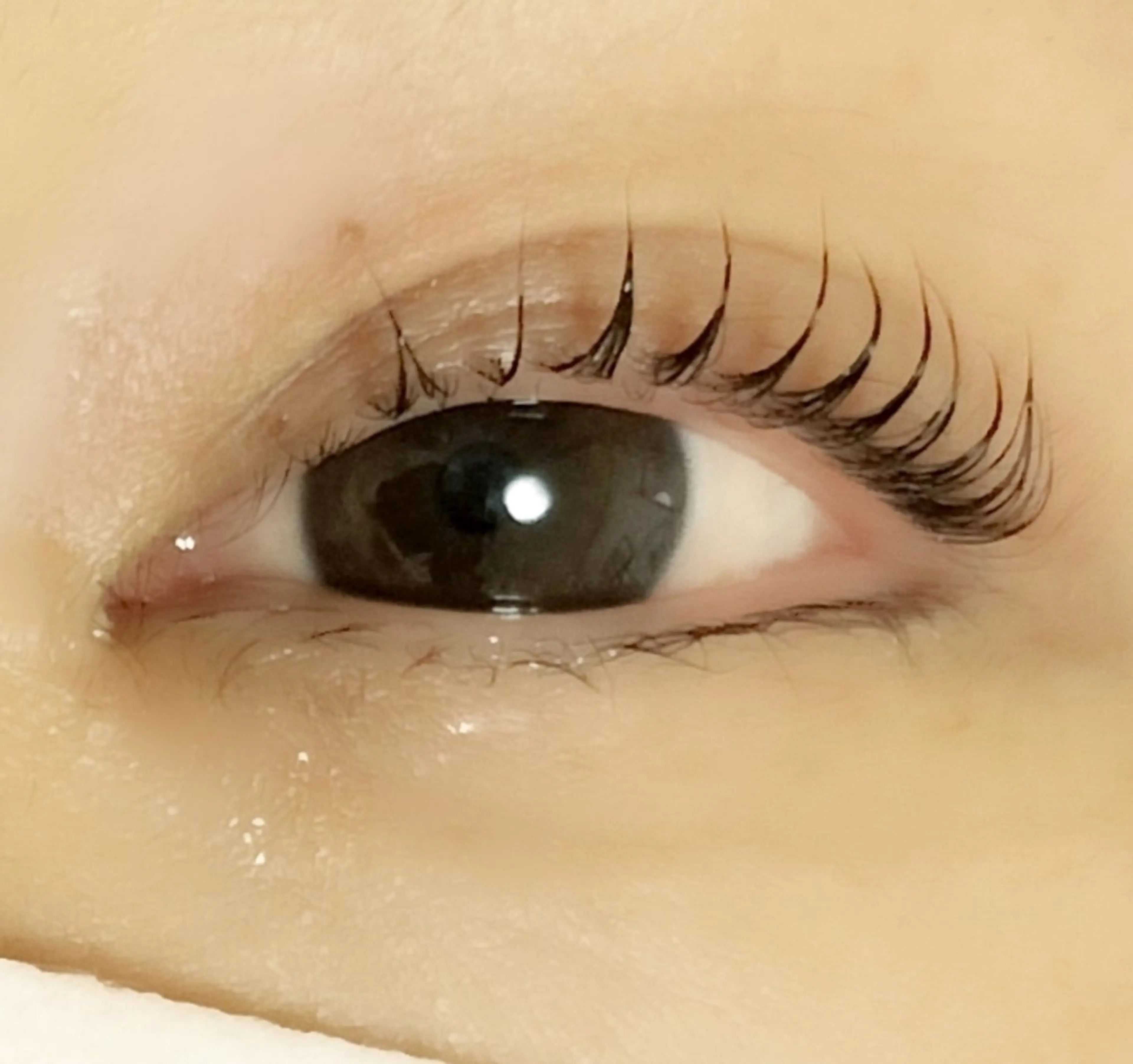 キープ力抜群🦋ラッシュリフト（上）🍬アイシャンプー＆トリートメント付き🍭の写真