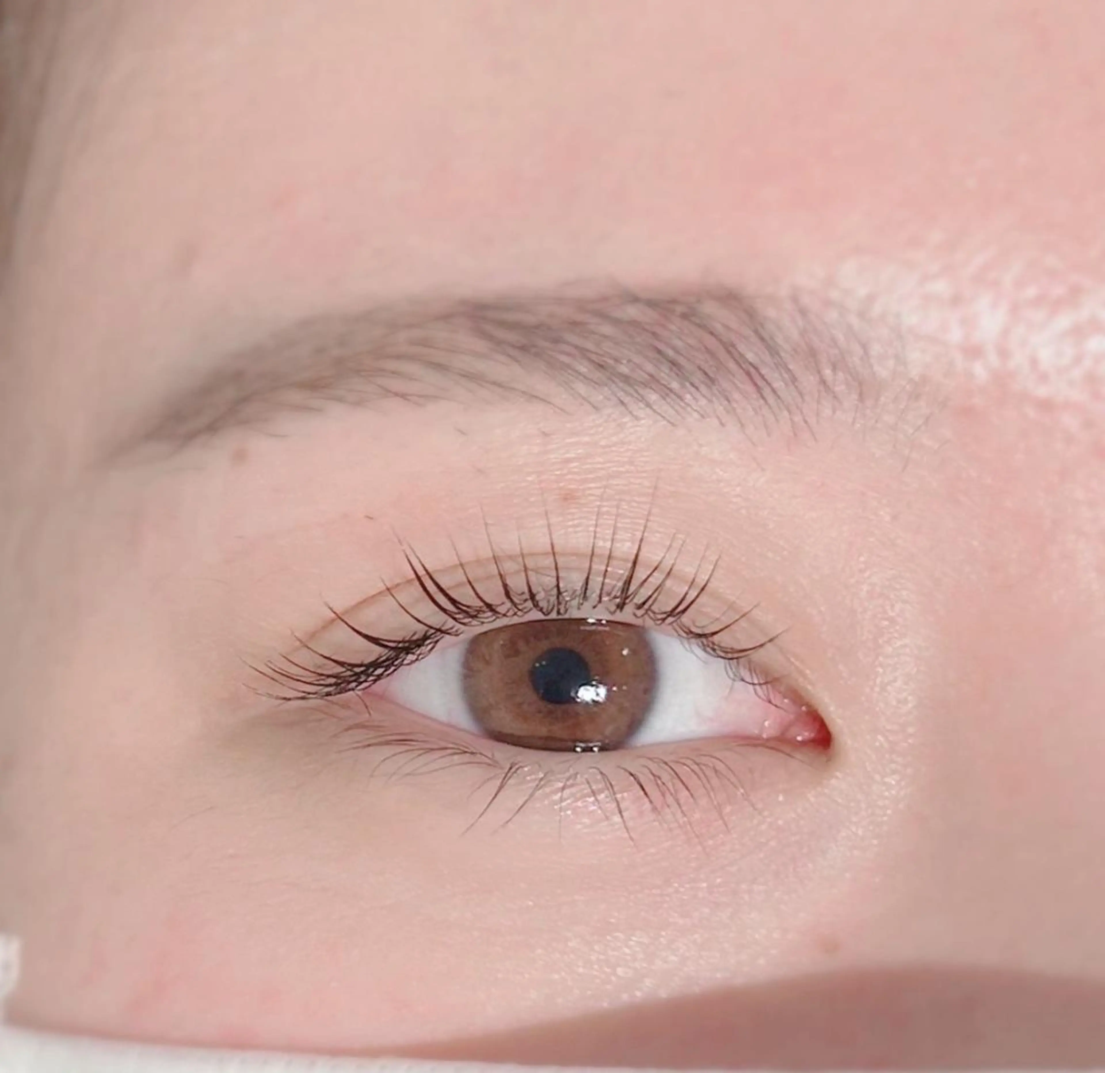 マツエク・マツパ まつげパーマ Biolus/天王寺 2号店🌸noa🌸のマツエク・マツパデザイン