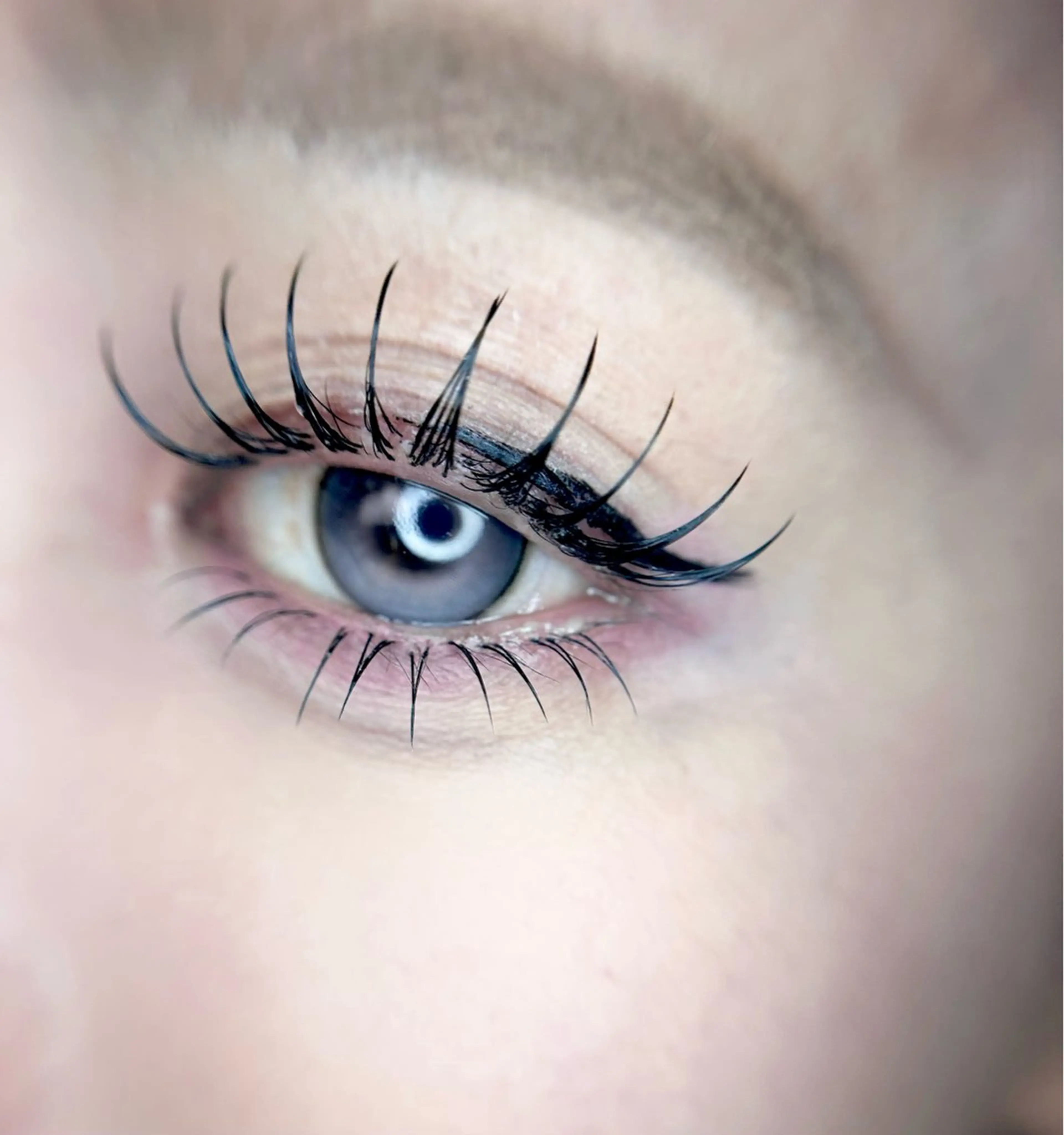 マツエク・マツパ 🎀eyelist. mizuki🐈‍⬛の眉毛・アイブロウイメージ