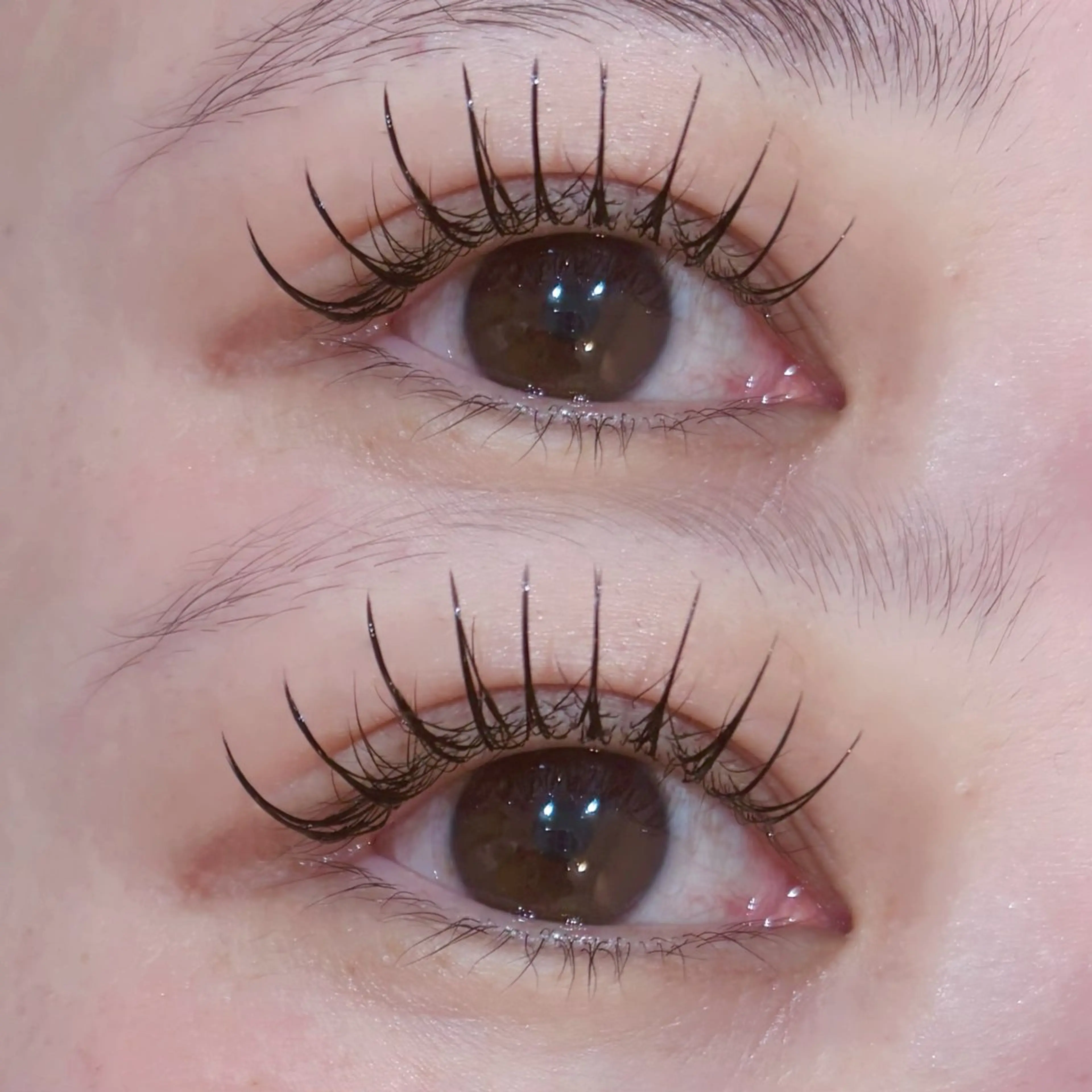 マツエク・マツパ 束感まつ毛 フラットラッシュ マツエク EYELA🎀 Yunaのマツエク・マツパデザイン