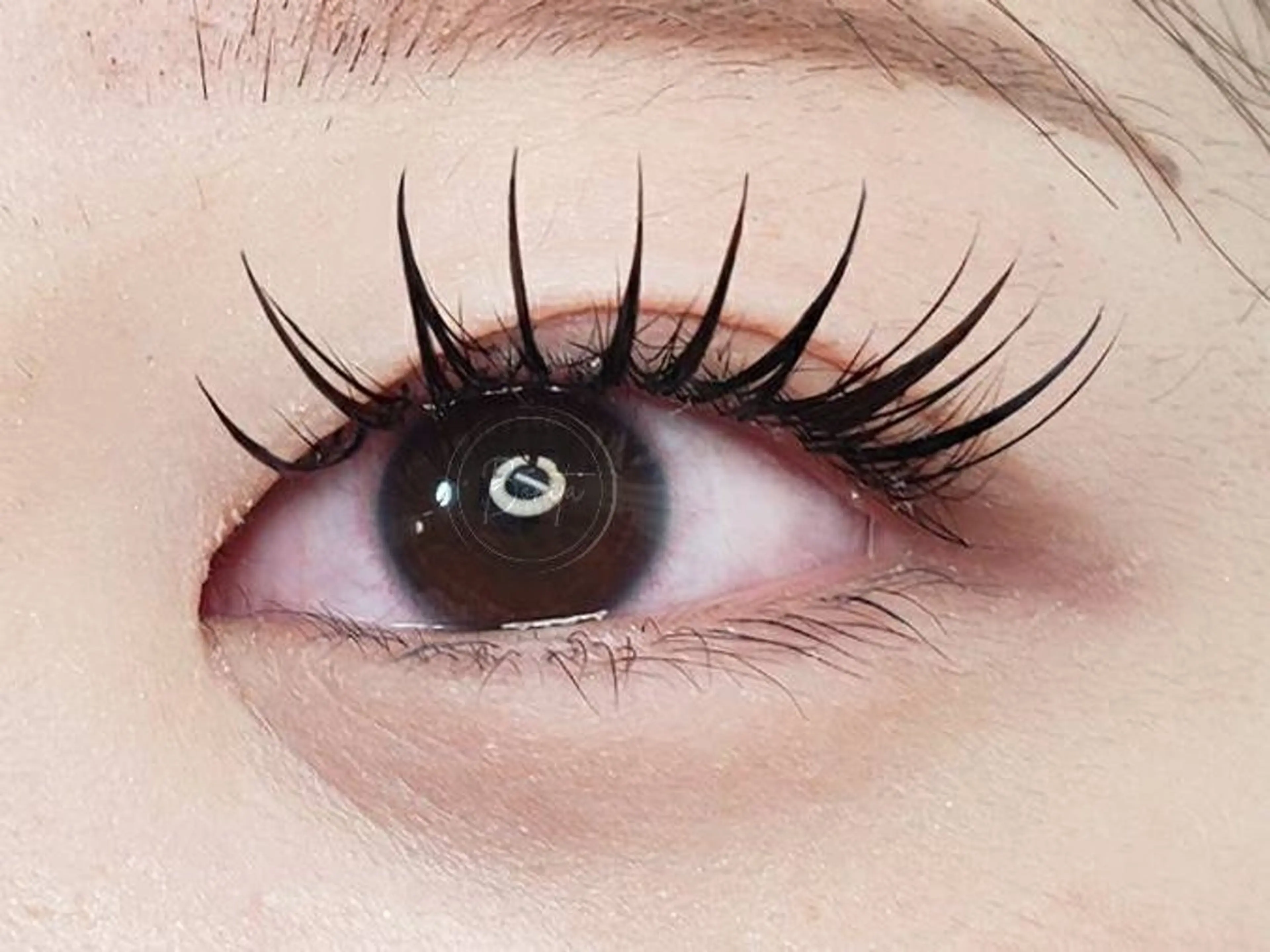 マツエク・マツパ フラットラッシュ パリジェンヌラッシュリフト 山本 マツゲのマツエク・マツパデザイン