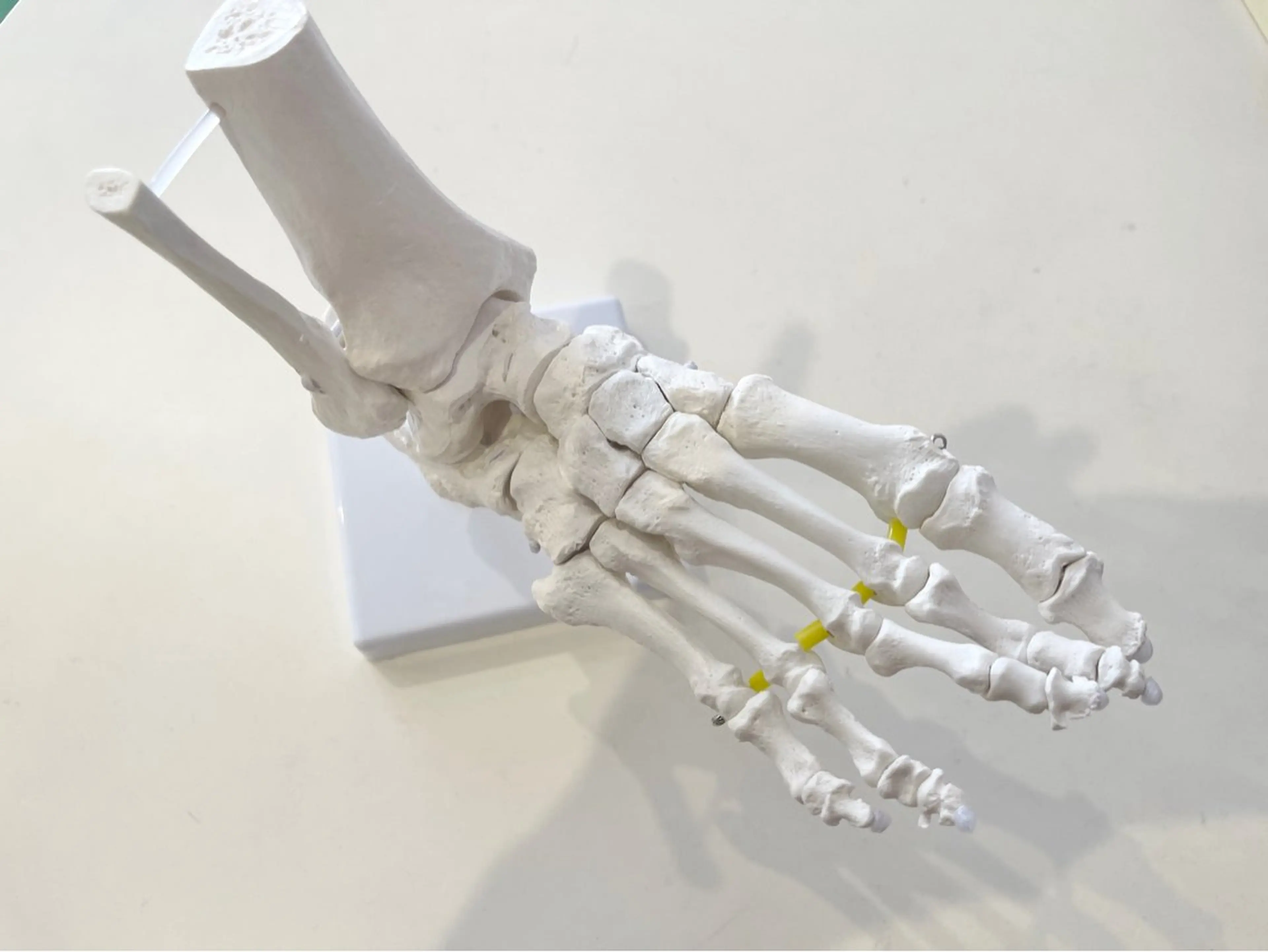 確井 信之のエステ・リラクイメージ