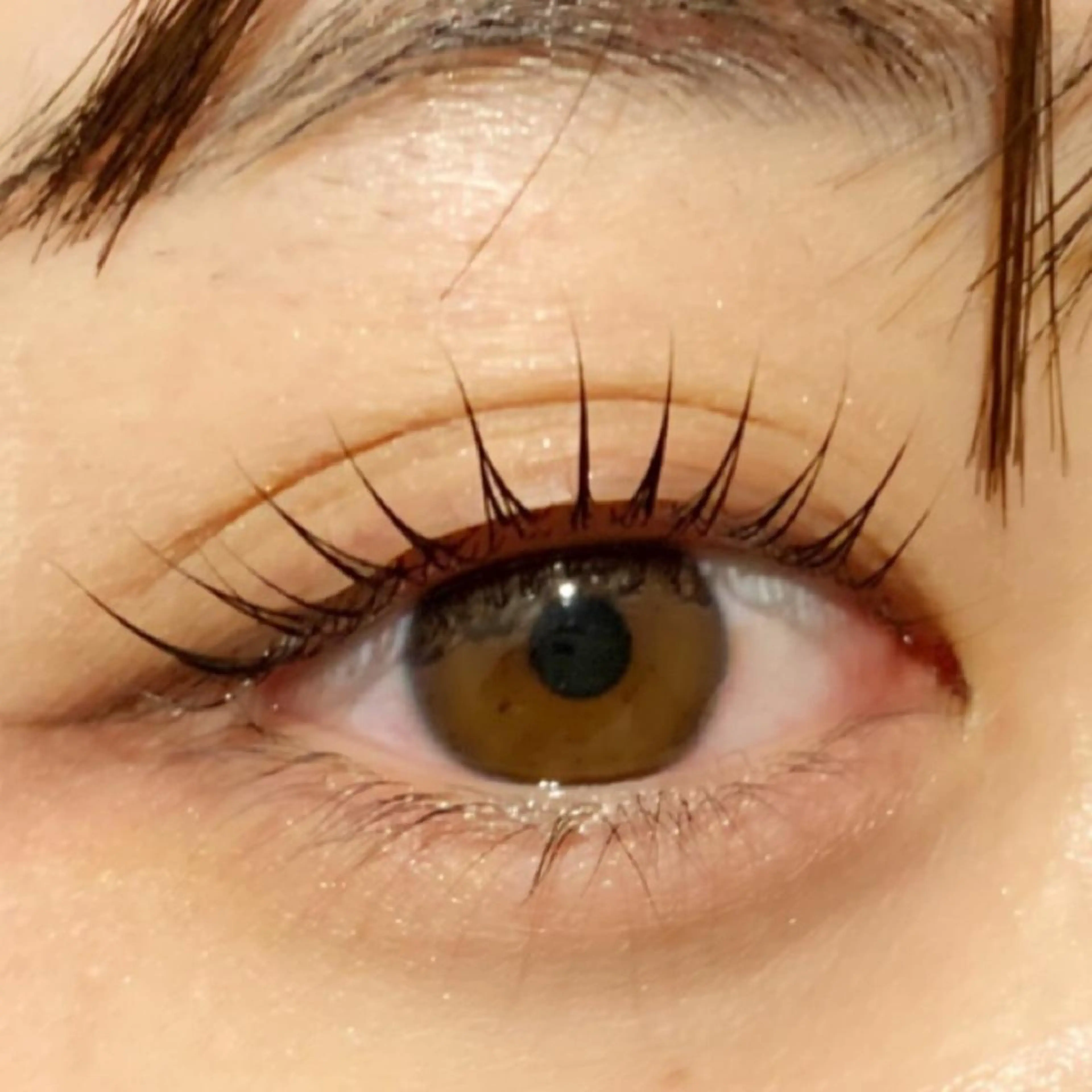 パリジェンヌ ラッシュリフト✨コーティング付き‼️の写真