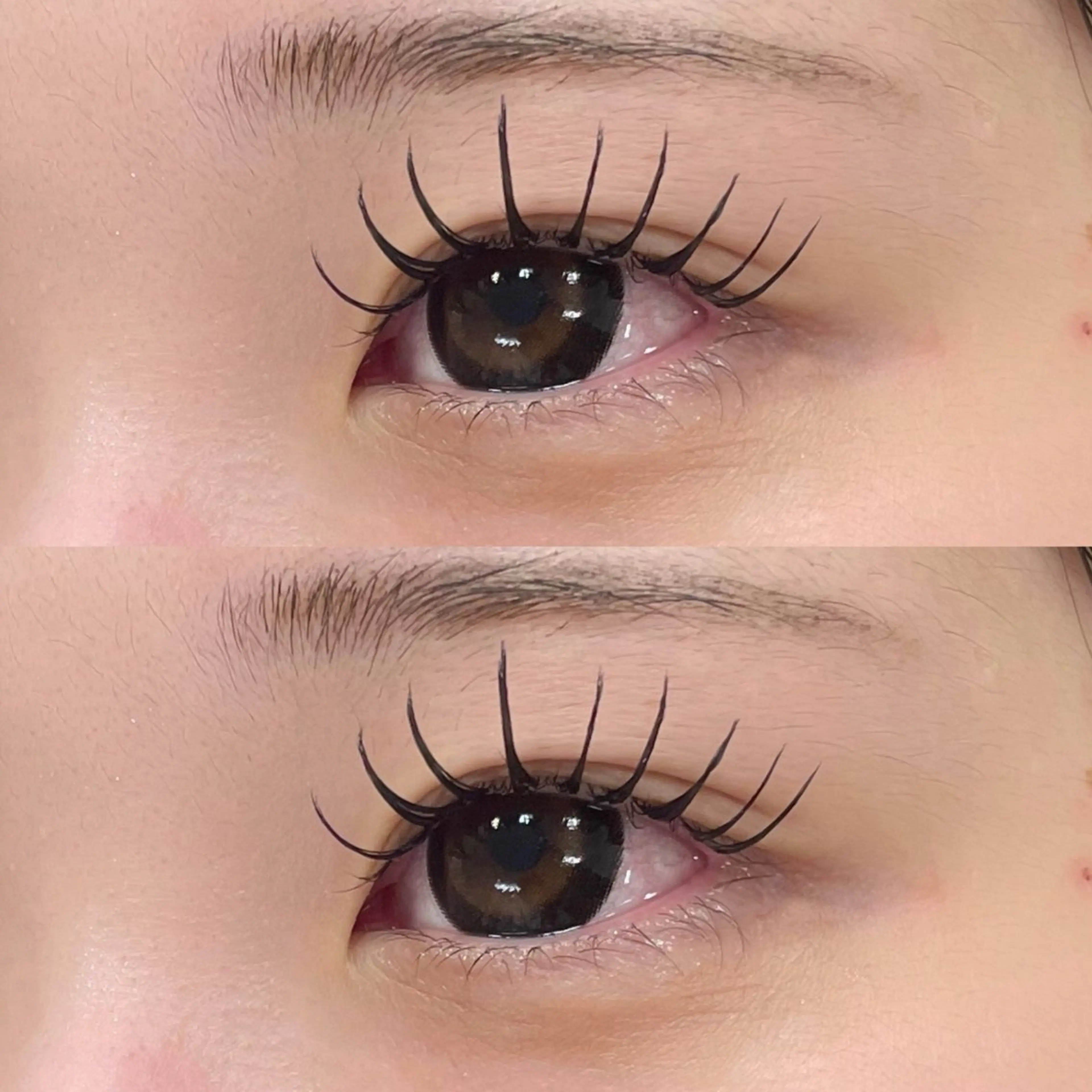 🌟&healthy🌟フラットラッシュ120本+まつ毛パーマ🪄町田/駅近/マツエクの写真