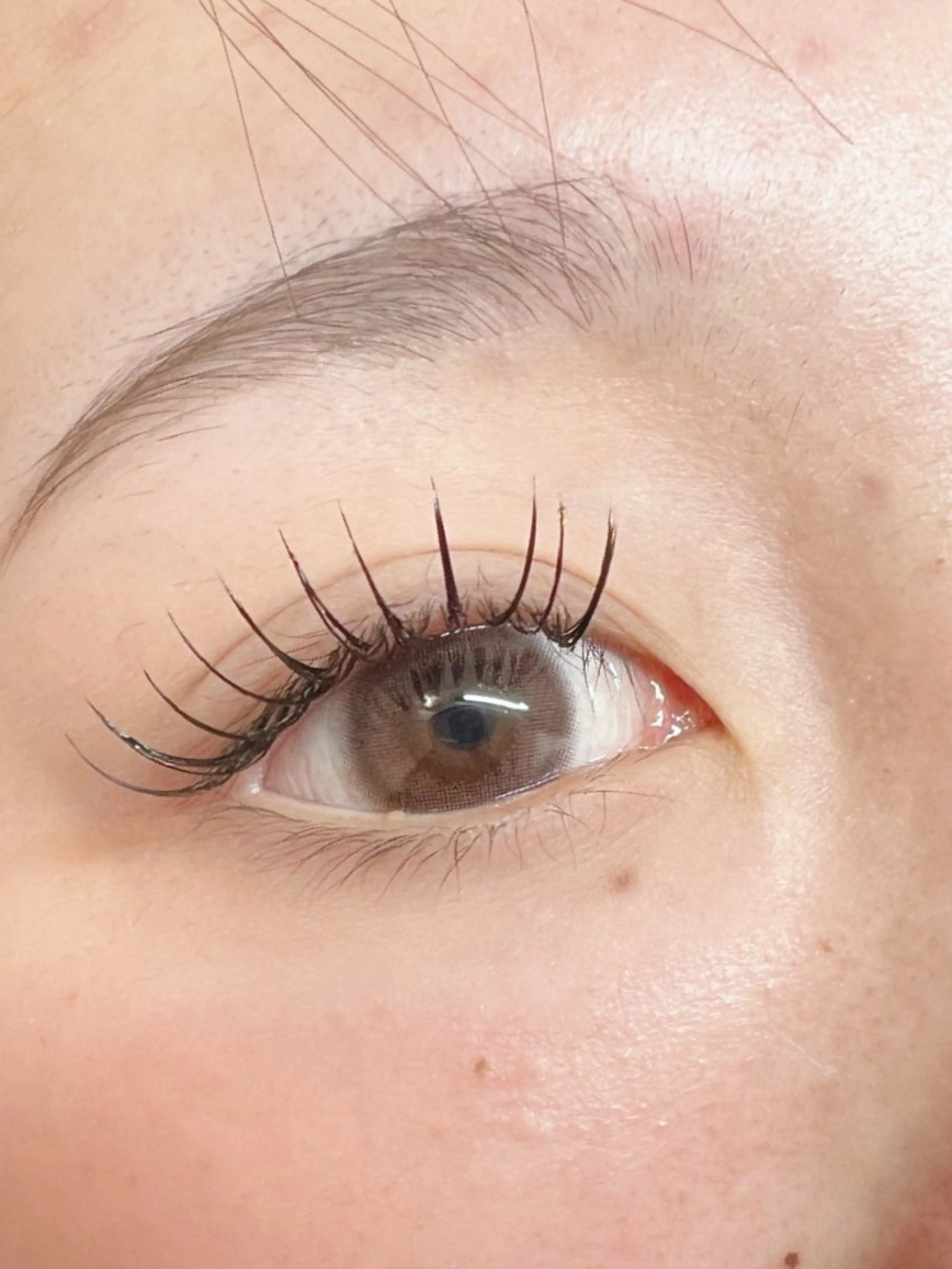 マツエク・マツパ フラットラッシュ Eyelash Hauoliの眉毛・アイブロウイメージ
