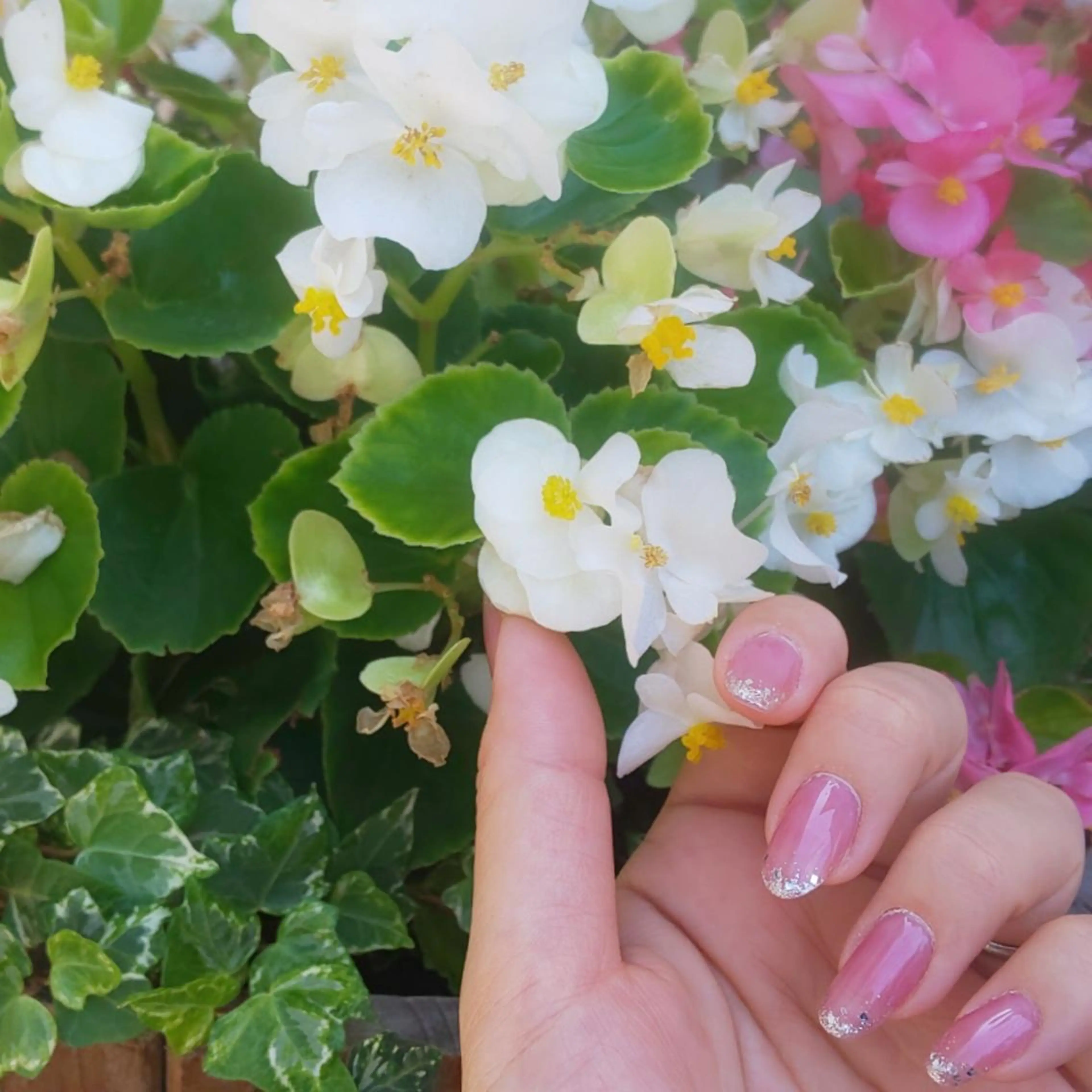 ネイル Franda ✾のネイルデザイン