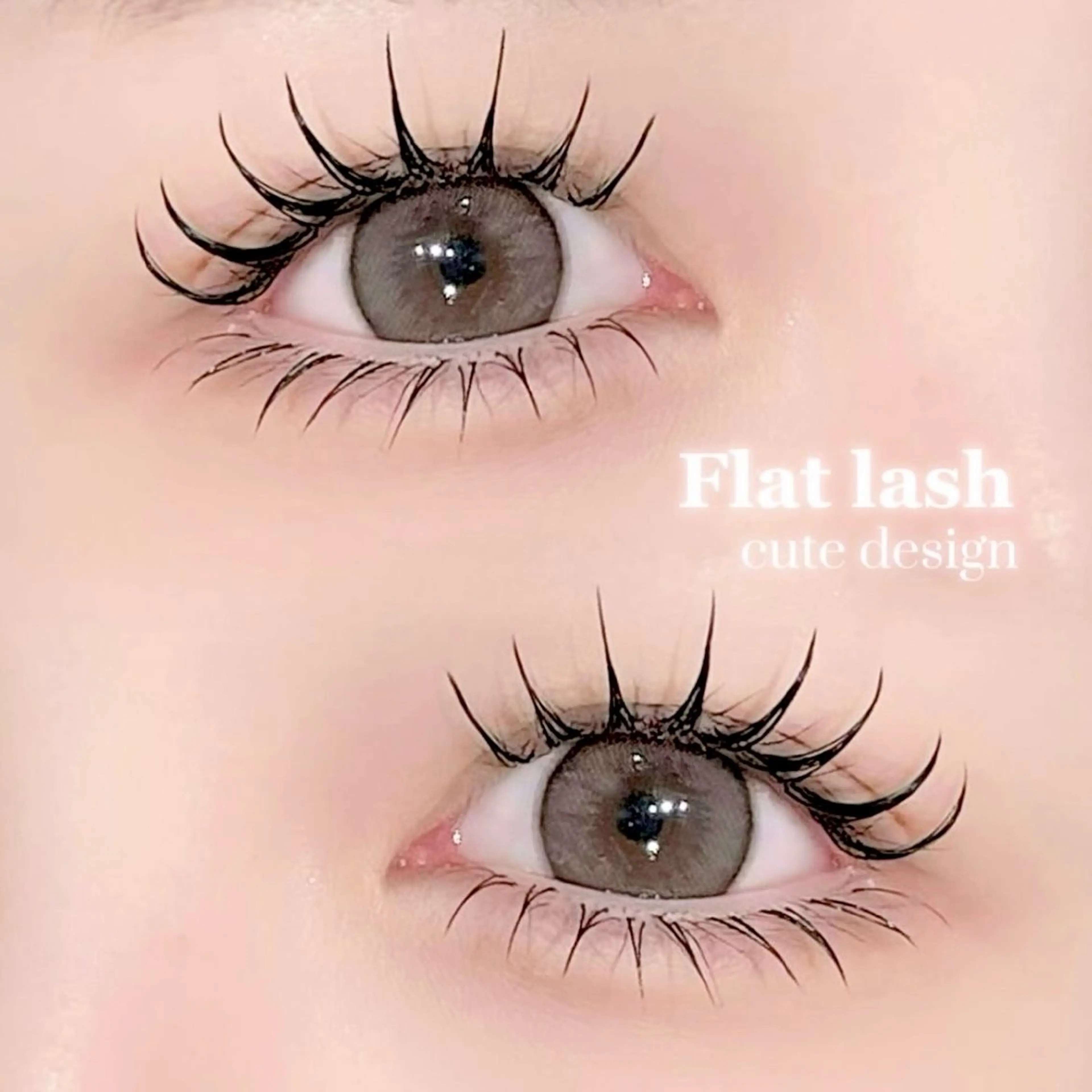 フラットラッシュ 120本 2回目以降→ ¥7,060の写真