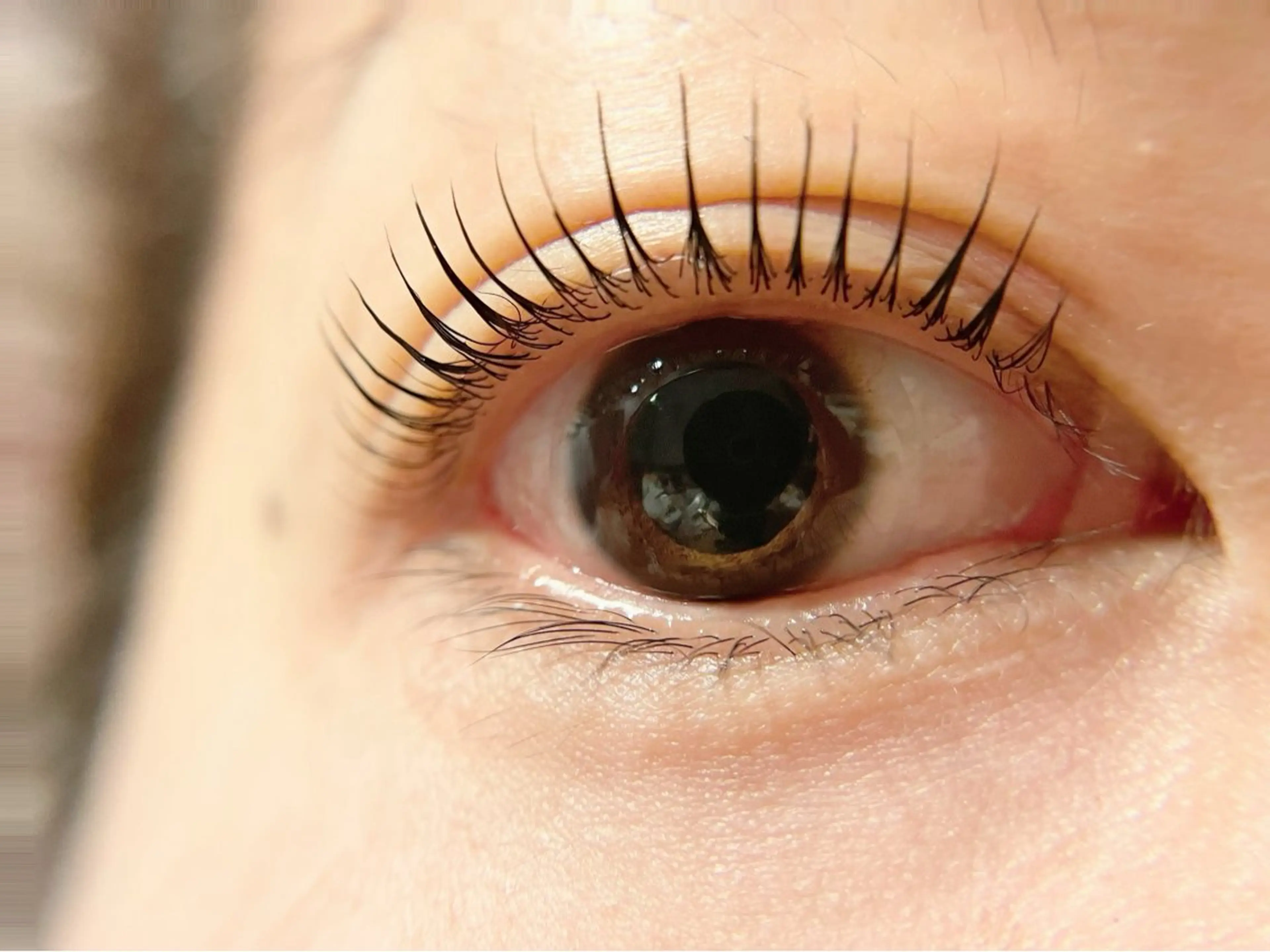 マツエク・マツパ シェールピエール所属・Laf かおりのマツエク・マツパデザイン