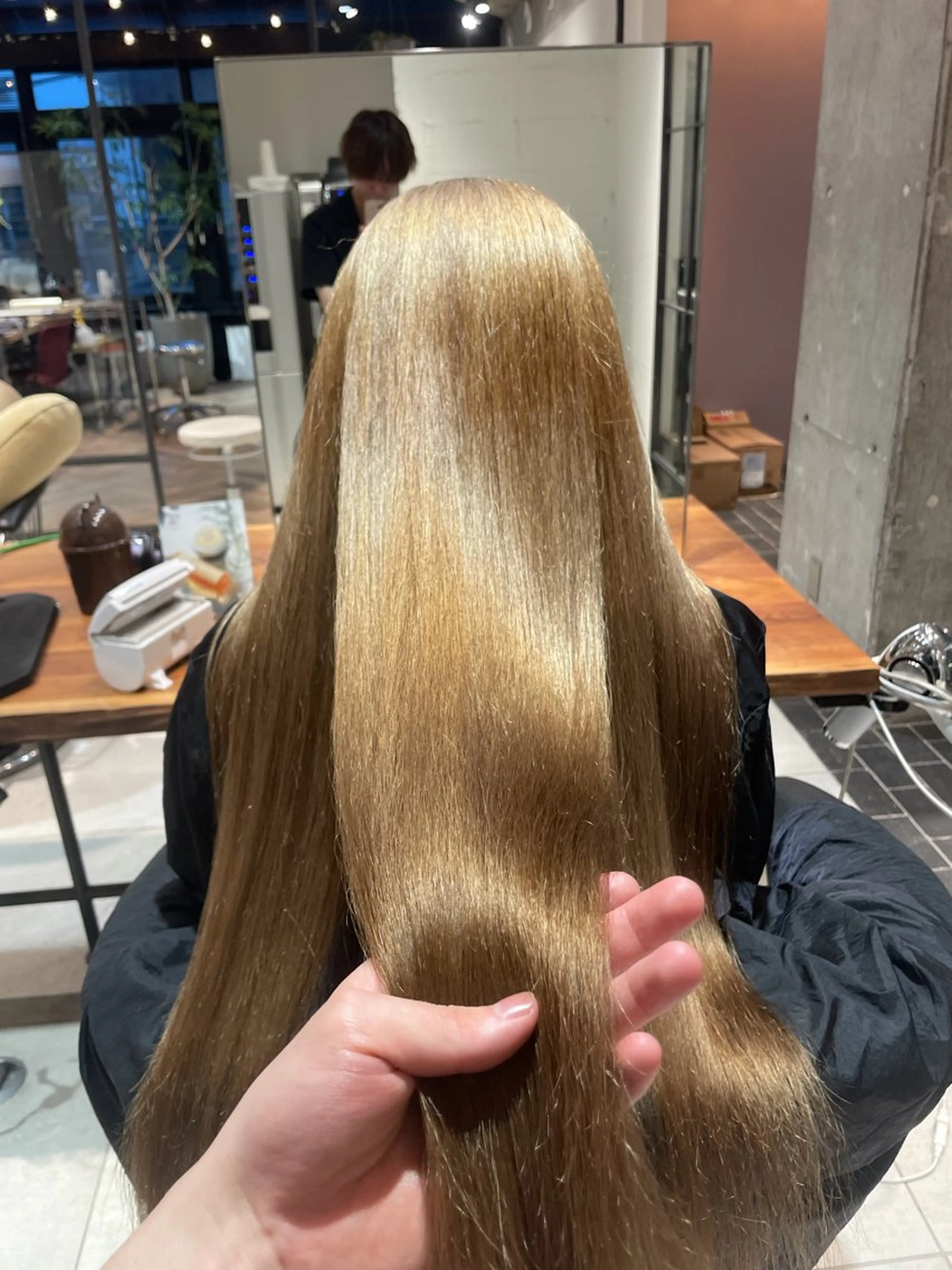 ワンカラー5500円→3300円の写真