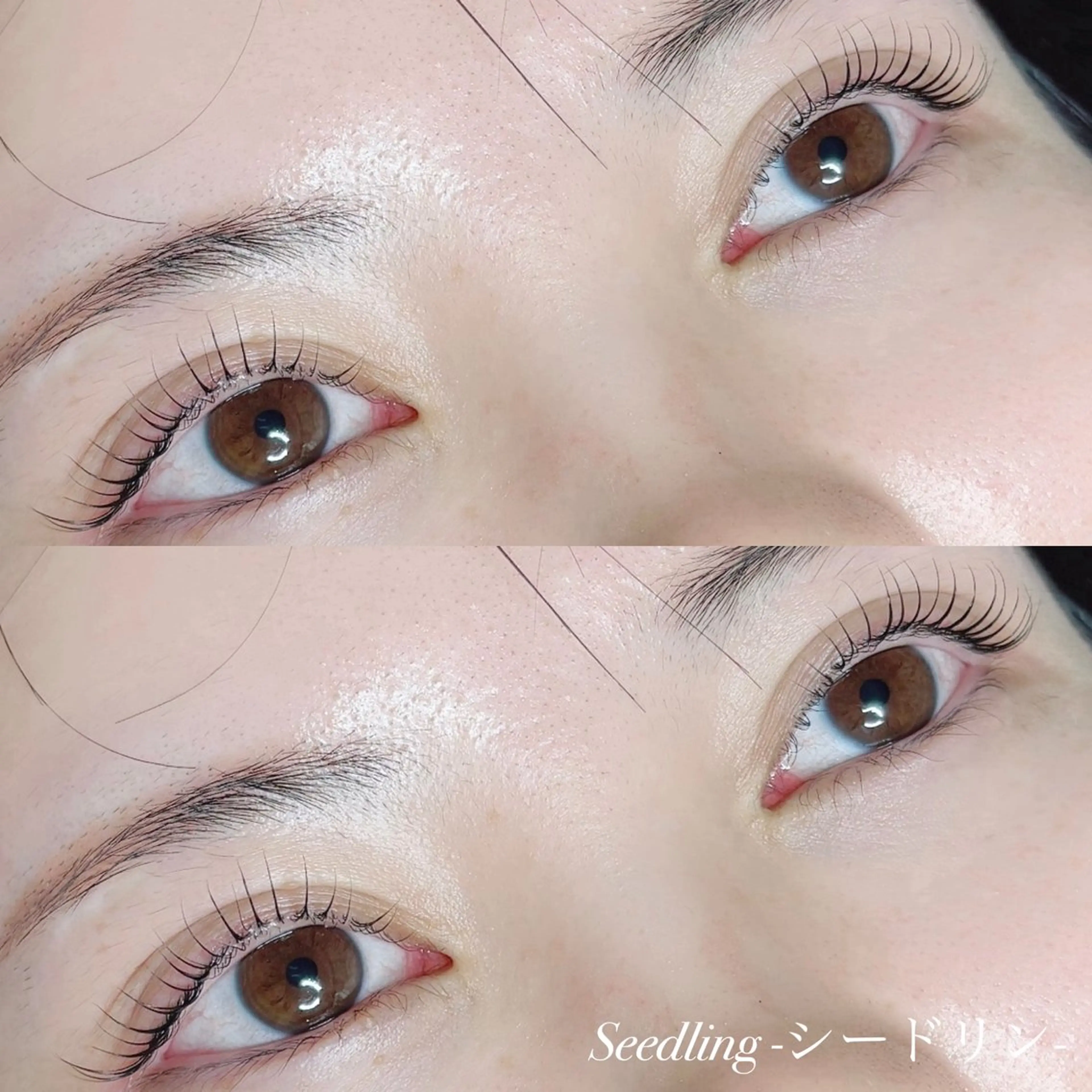 マツエク・マツパ シードリン 府内店 小野梨央のマツエク・マツパデザイン