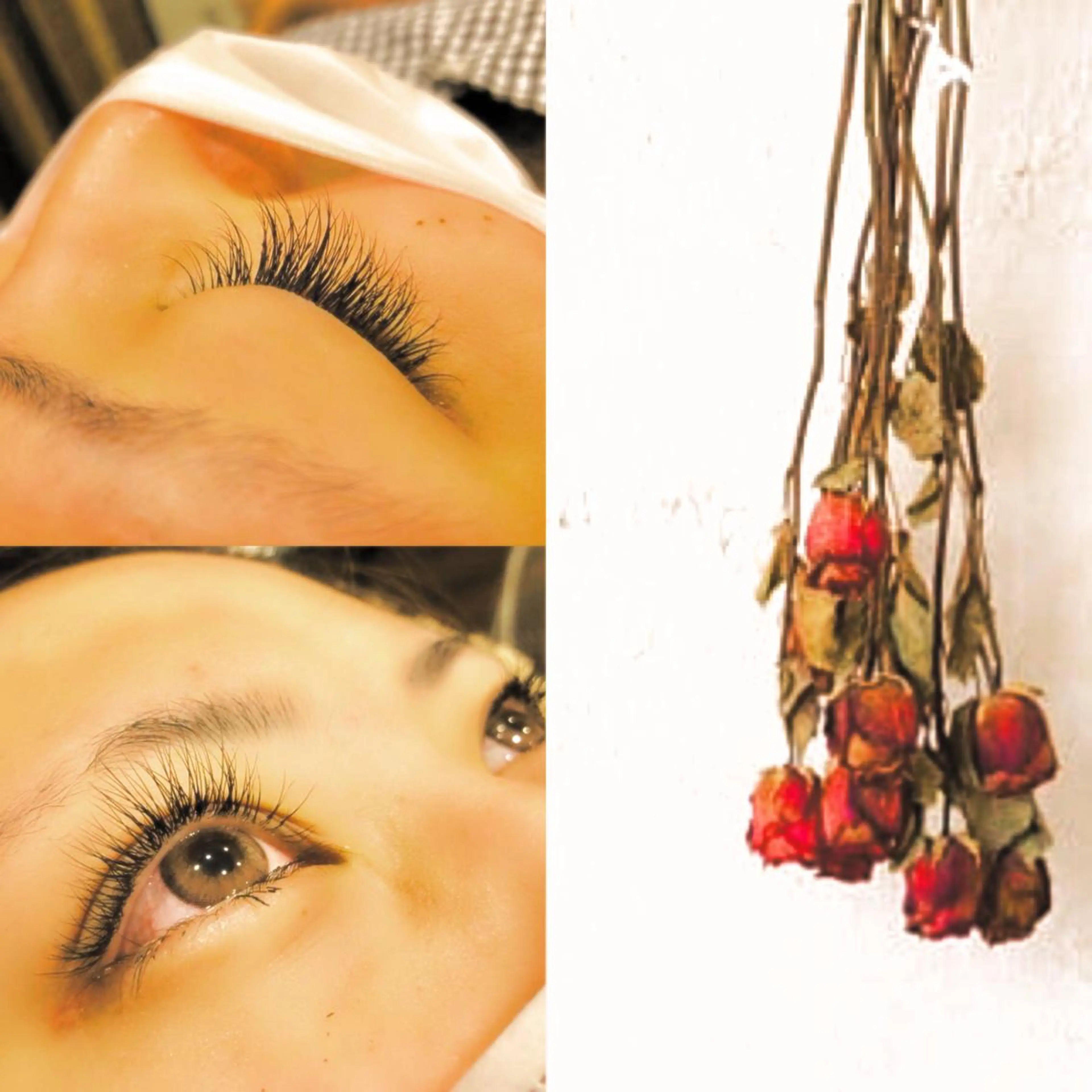 マツエク・マツパ Cカール キュート 🦋Dio...川越 MINAKI🦋のマツエク・マツパデザイン