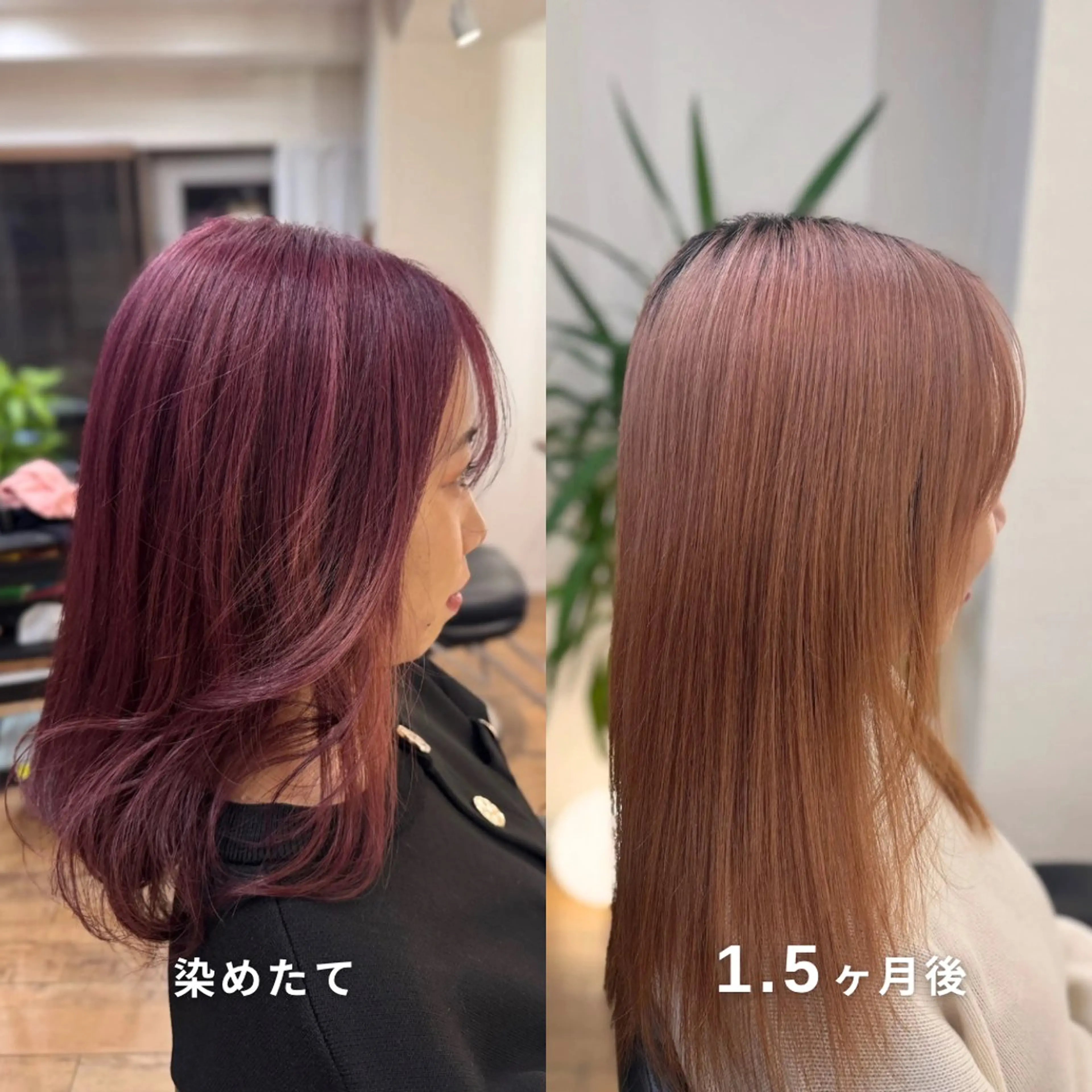 ロング カラー ラベンダーカラー ラベンダーピンク ピンクカラー ヘアカラー トリートメント ヘアセット しんのすけ /モデルさん募集中のヘアスタイル