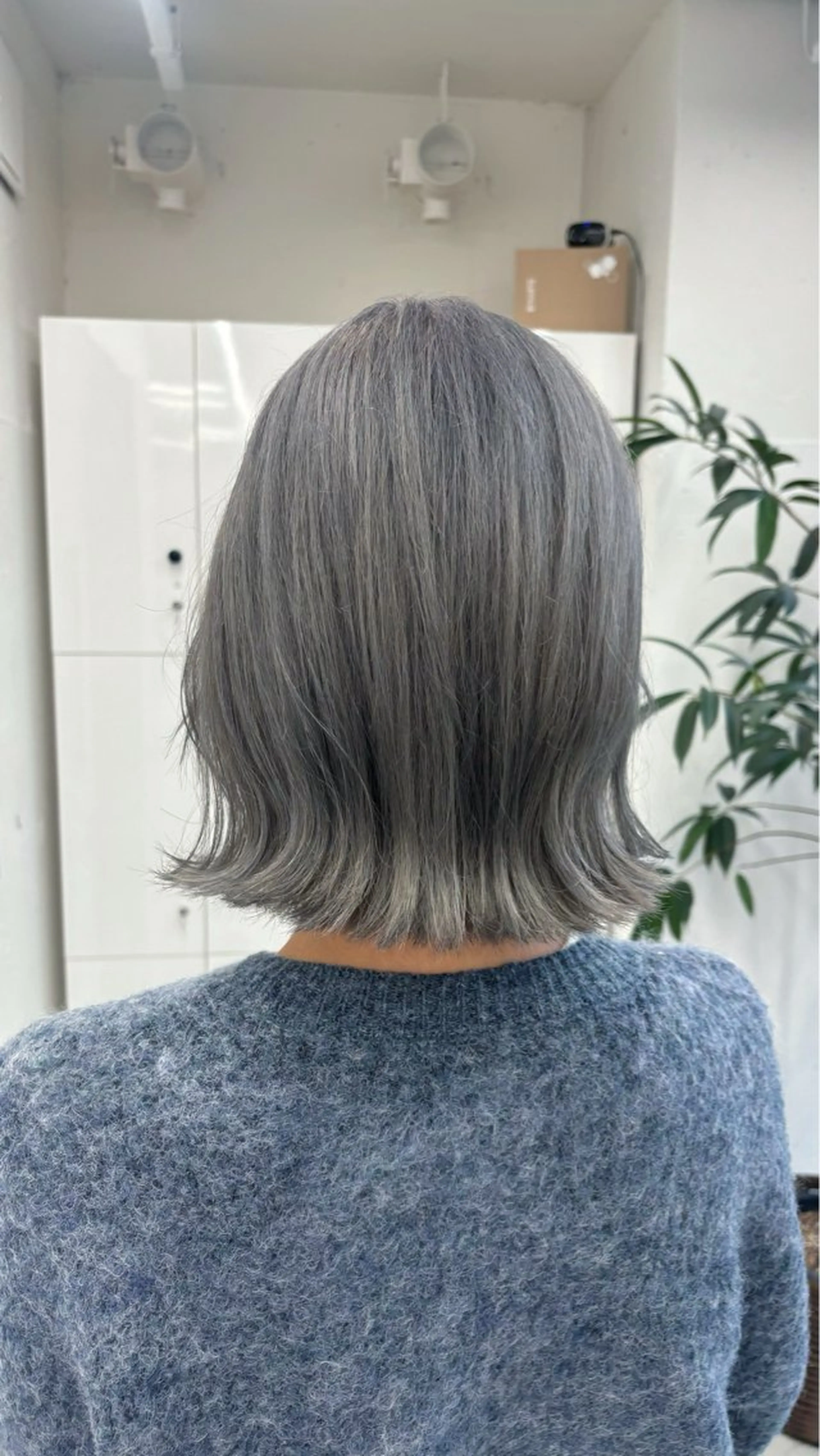 ミディアム 韓国風ヘア トリートメント ウルフカット カット ヘアカラー トリートメント 🐶ひかる🐶 JILLSTUDIOのヘアスタイル