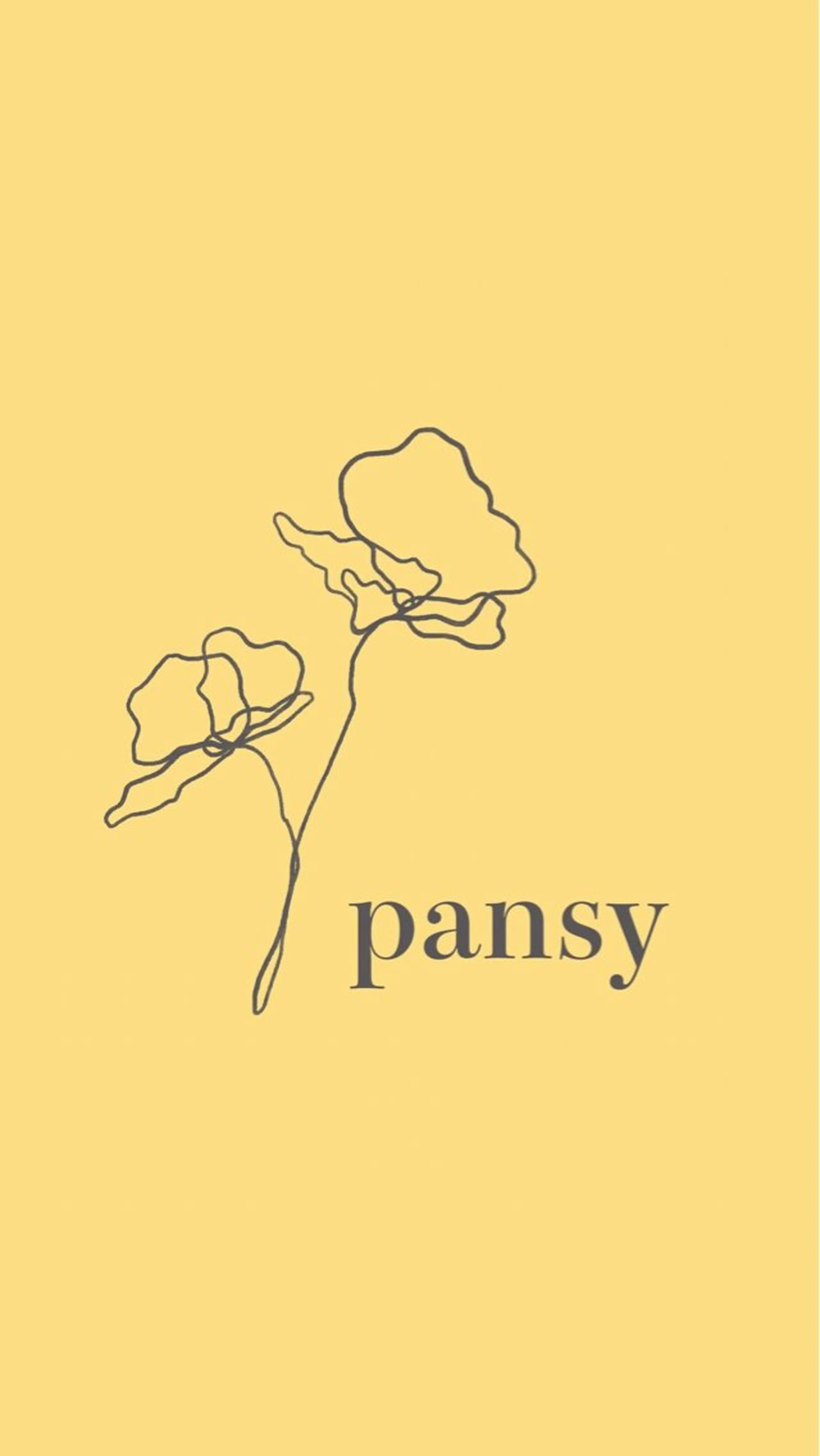 【人気No.1】満足フルコース★毛穴掃除/小顔マッサージ/保湿✨の写真