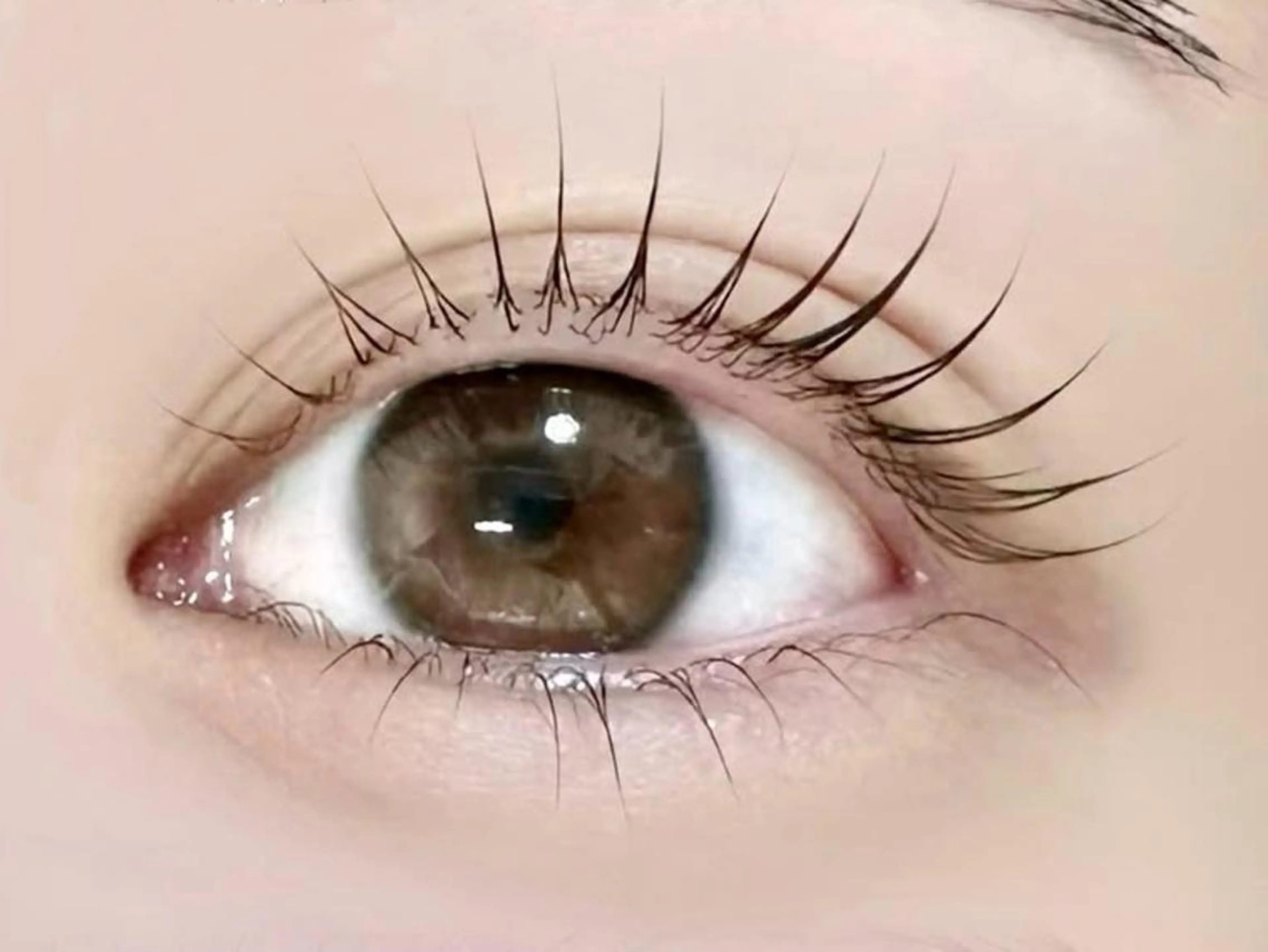 韓国風下まつ毛パーマの写真