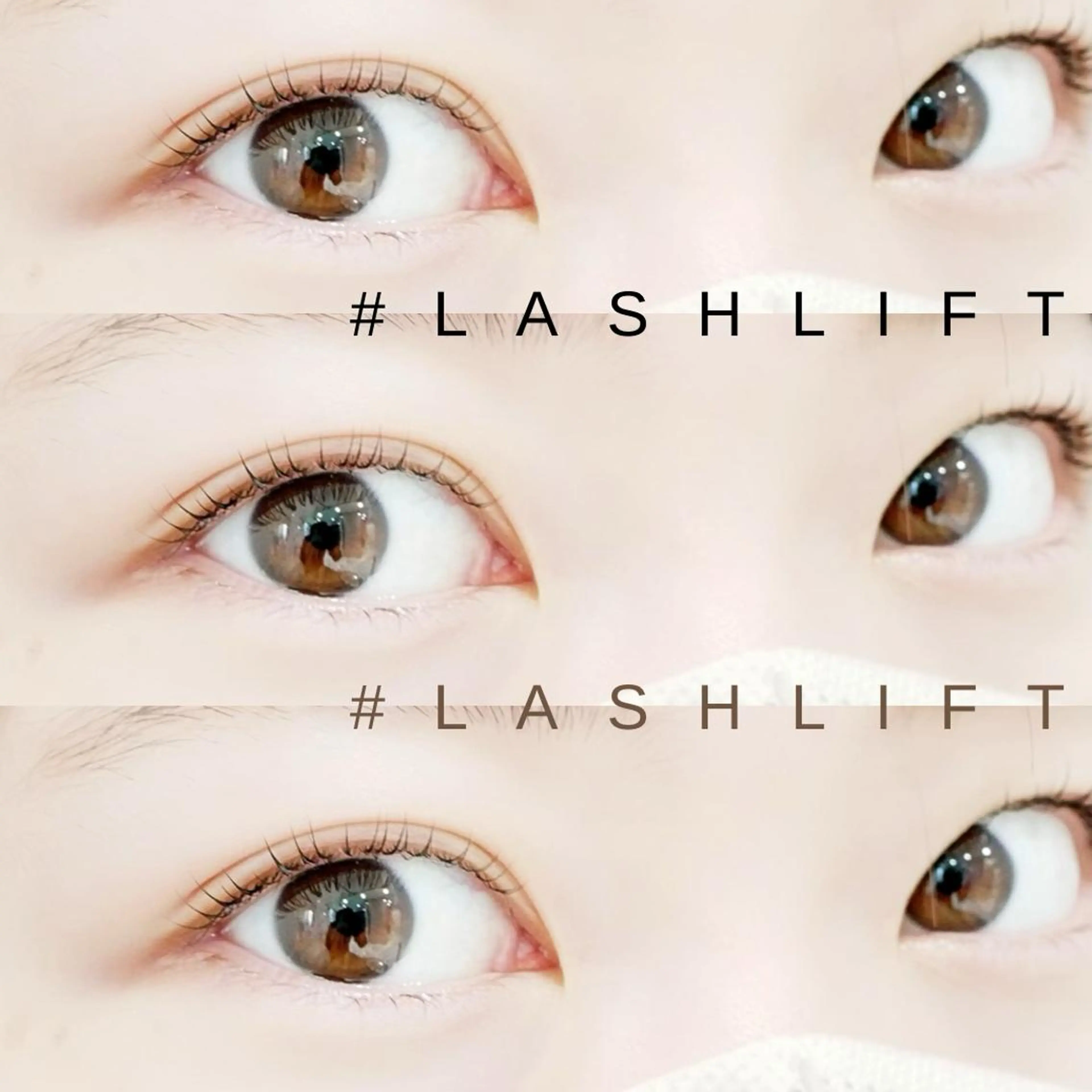 マツエク・マツパ asuka 𖥸 アイブロウ🦊🤎の眉毛・アイブロウイメージ