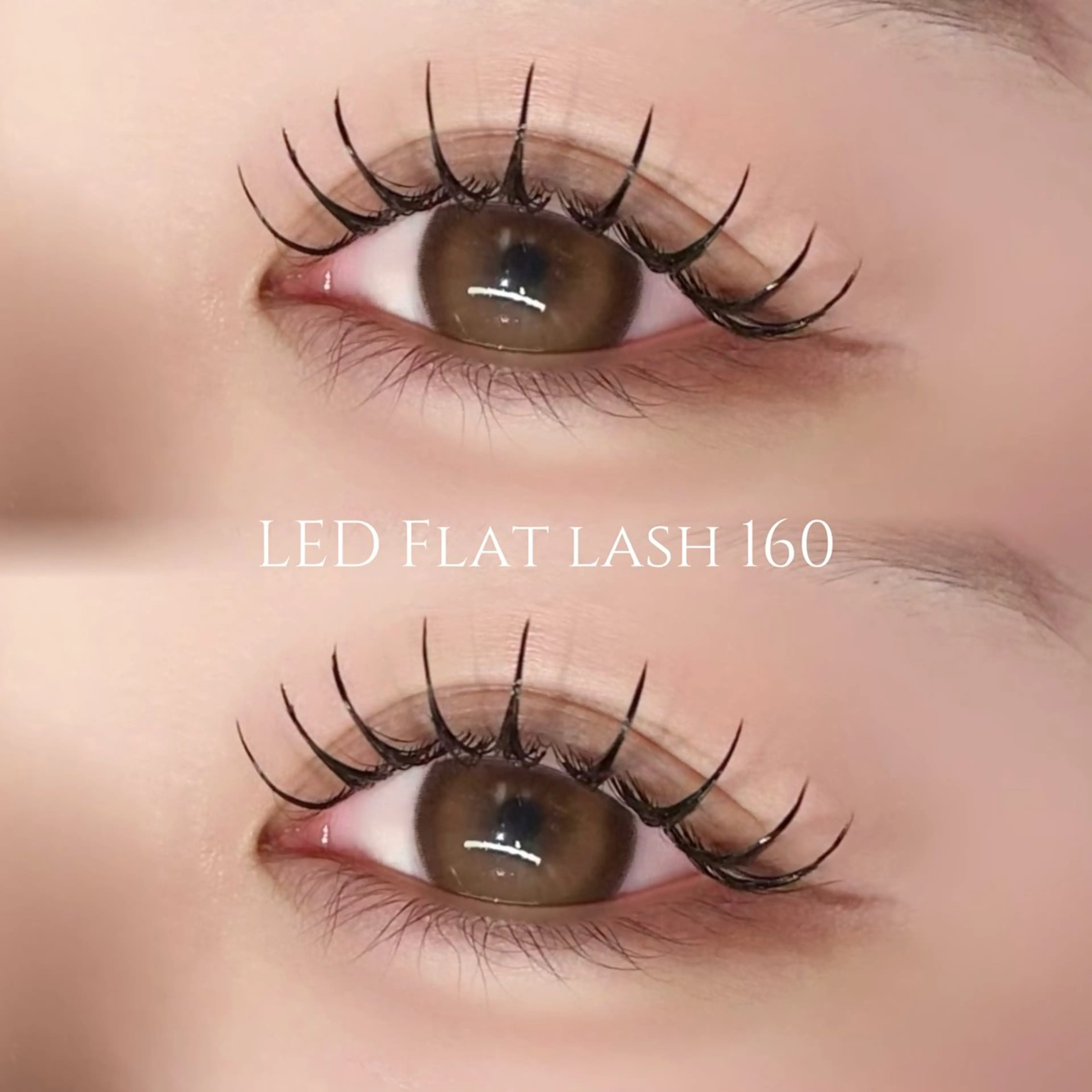 【モチ抜群◎】オフあり🙆🏻LEDフラットラッシュ160本💛ご新規様¥6900/再来様¥8230の写真