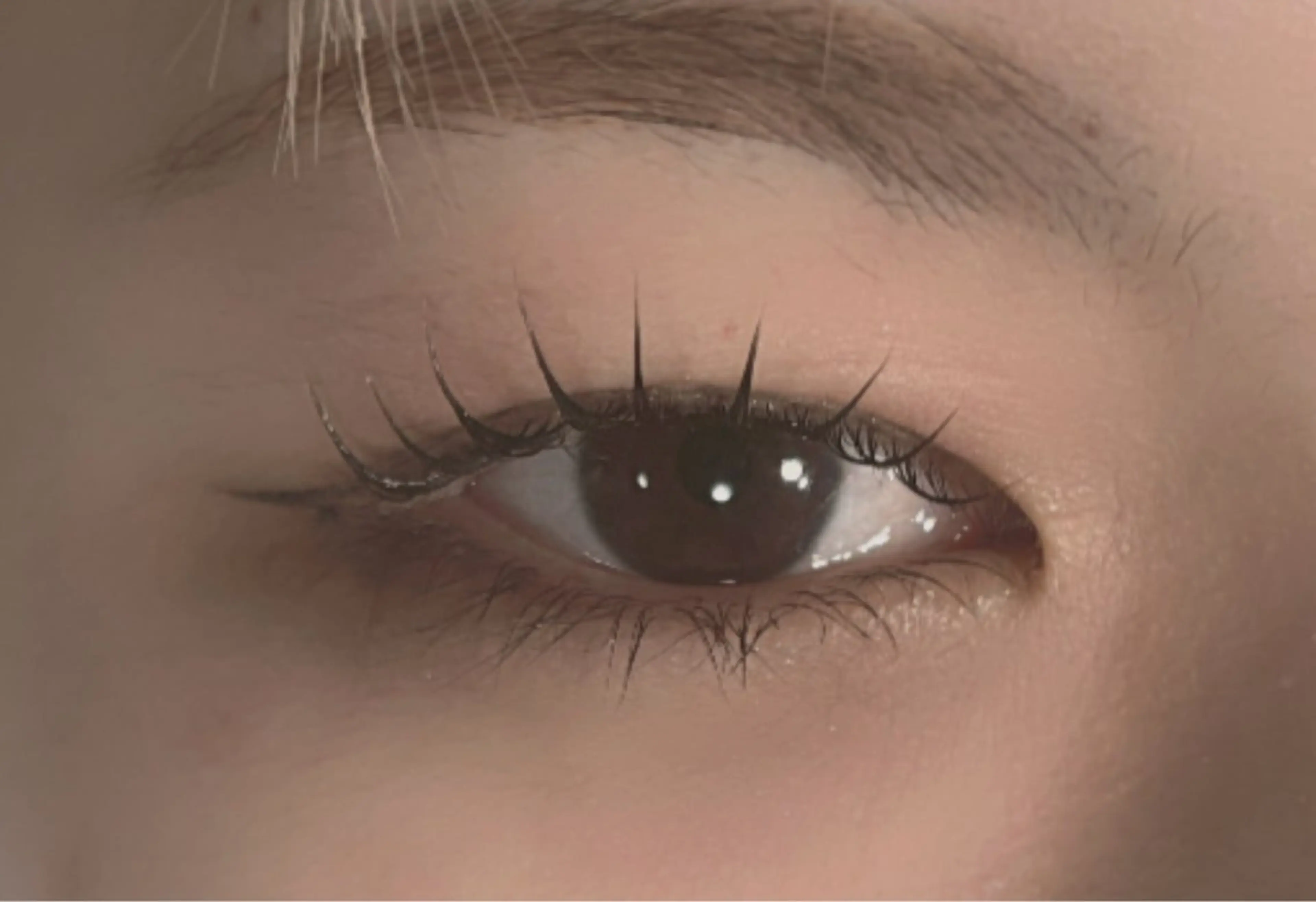 マツエク・マツパ マリーテレジア 🐨MIURAのマツエク・マツパデザイン