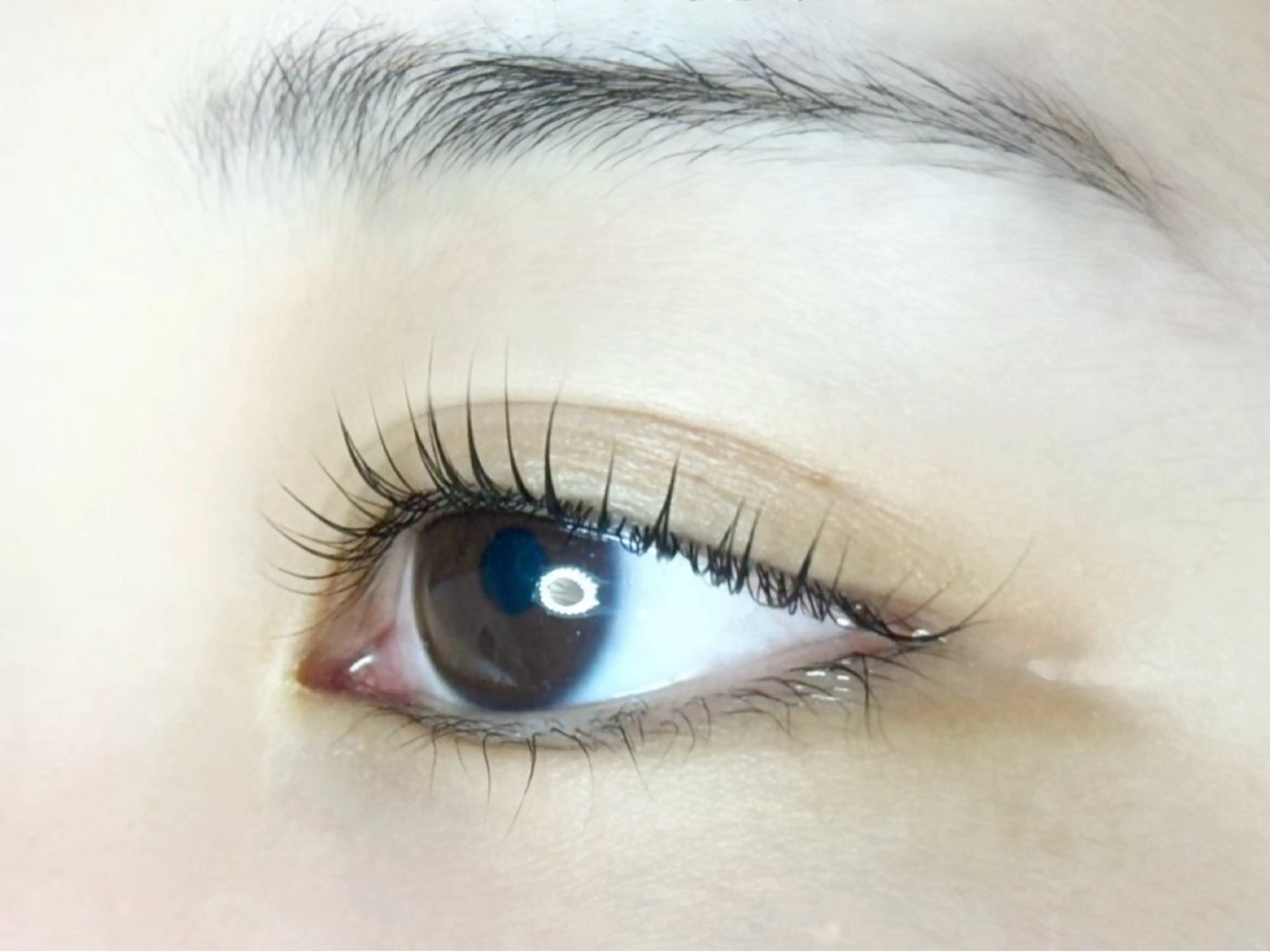 マツエク・マツパ マツパ Tendre Rêveのマツエク・マツパデザイン