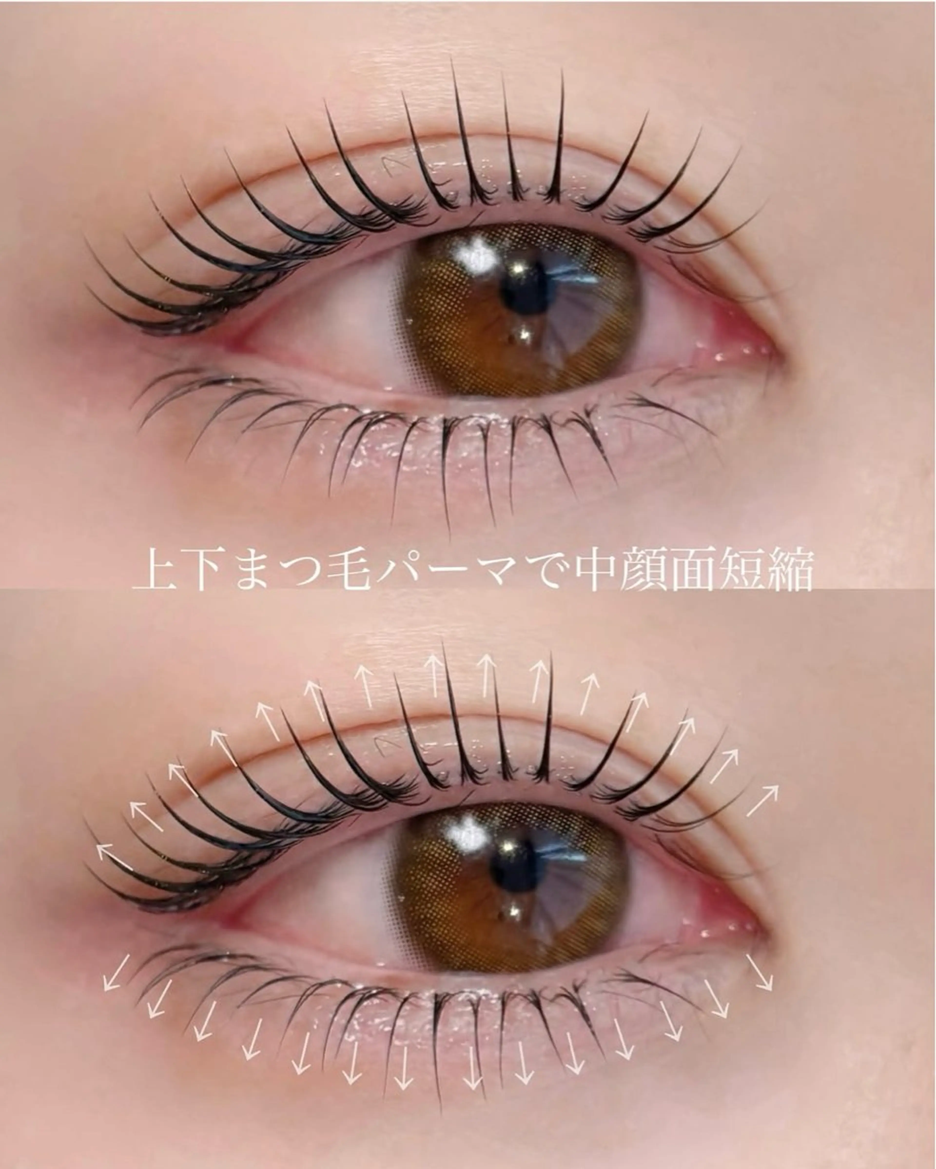 【🌈まつげパーマ】話題の目尻流れメーテルラッシュリフト【上+下】+美容液の写真