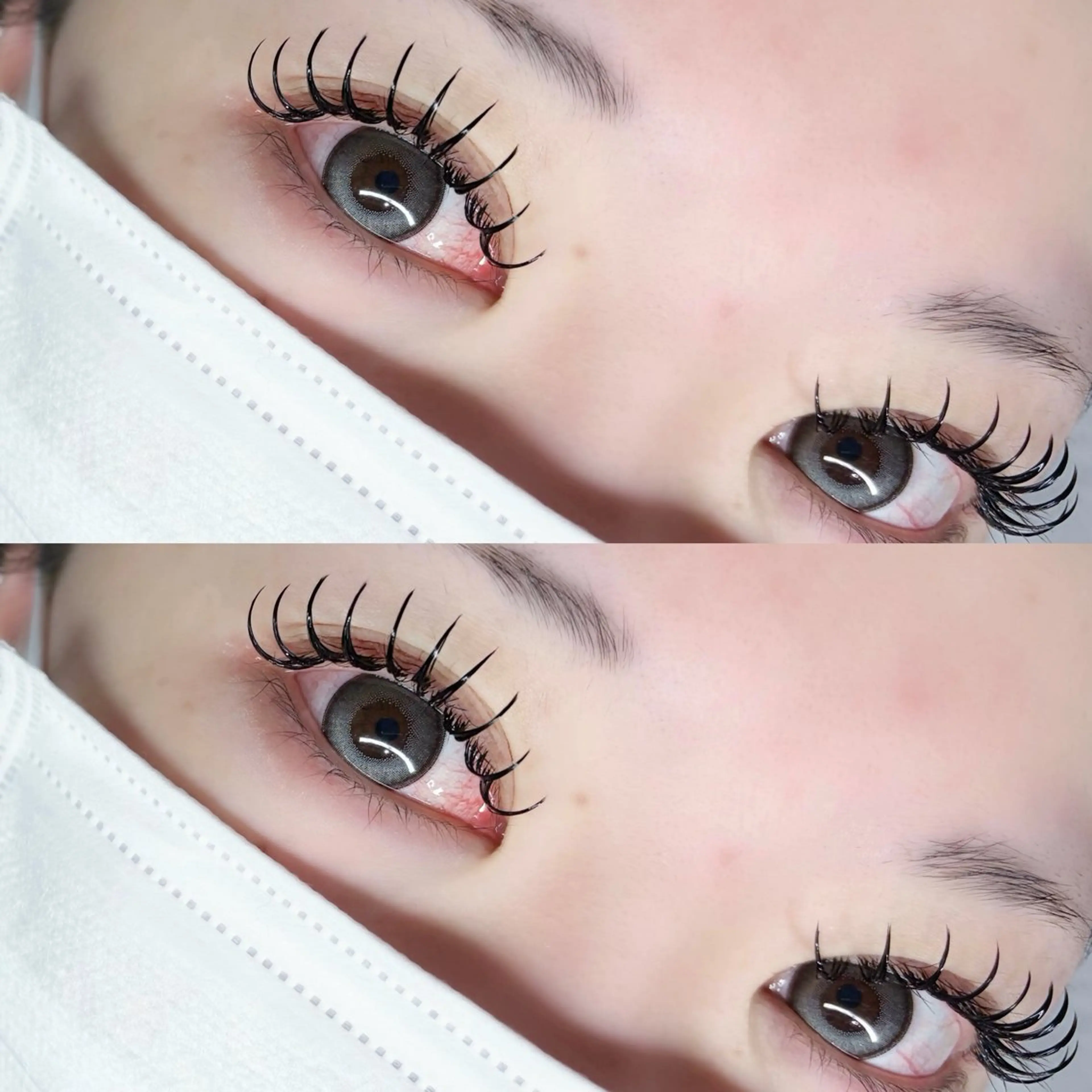 【 圧倒的モチ＋濃さ 】バインドロック120束🎀オフなし🪄𓊆ご新規様𓊇7900円 𓊆顧客様𓊇8900円の写真