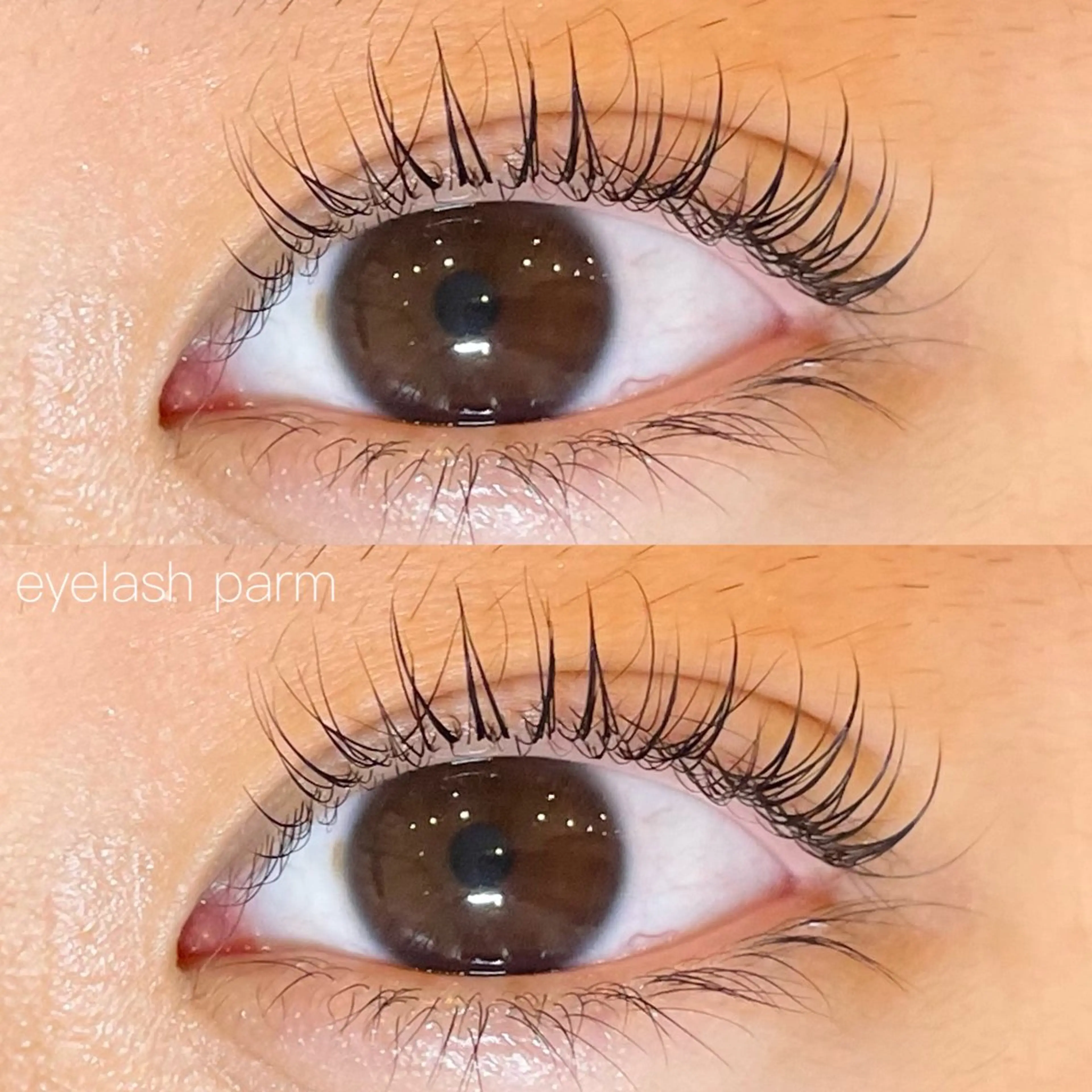 マツエク・マツパ まつげパーマ sarah by  nicottのマツエク・マツパデザイン