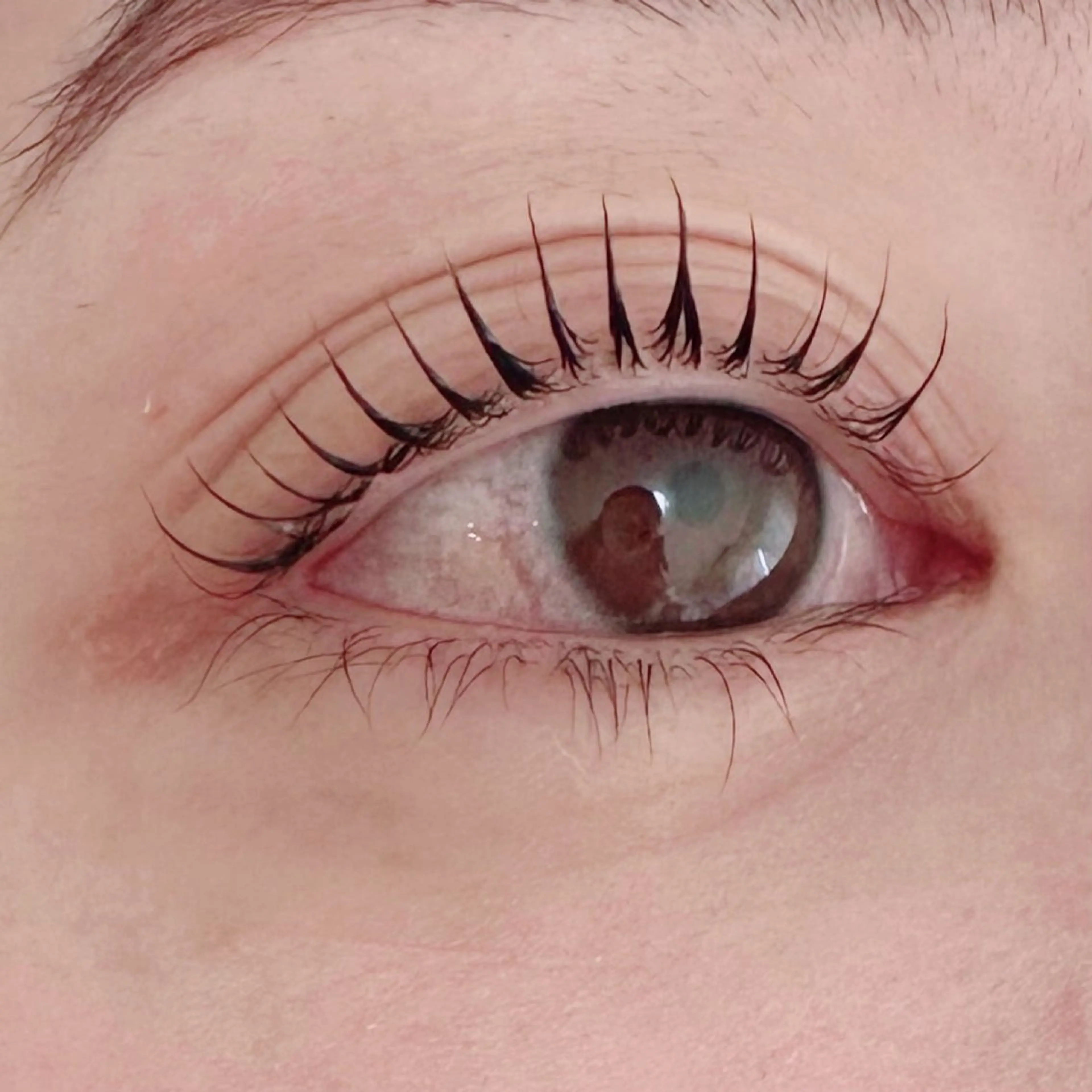 マツエク・マツパ 一重×まつ毛パーマ Le'a永山 綾華のマツエク・マツパデザイン