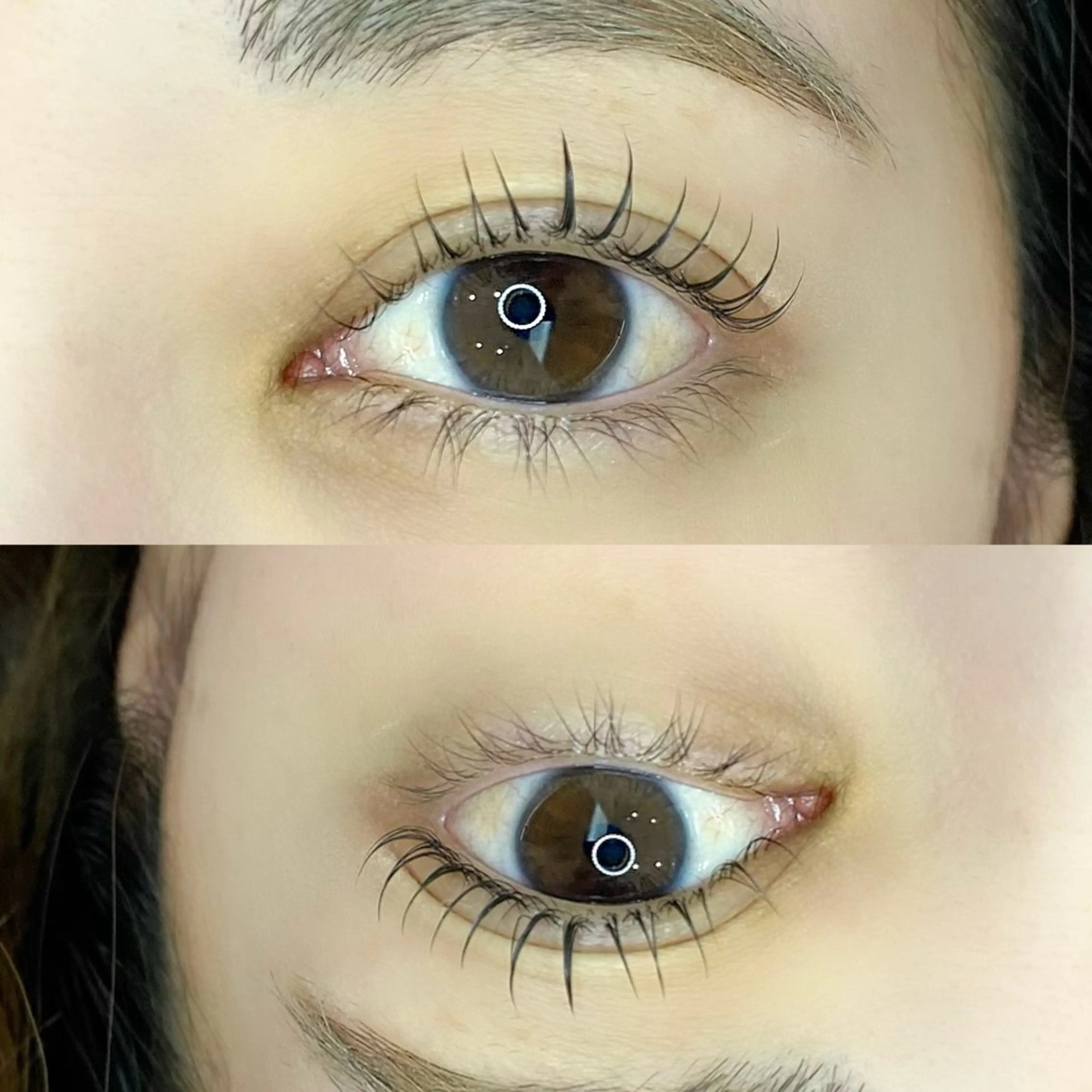 まつ毛パーマ（トリートメント・アイシャンプー付）の写真