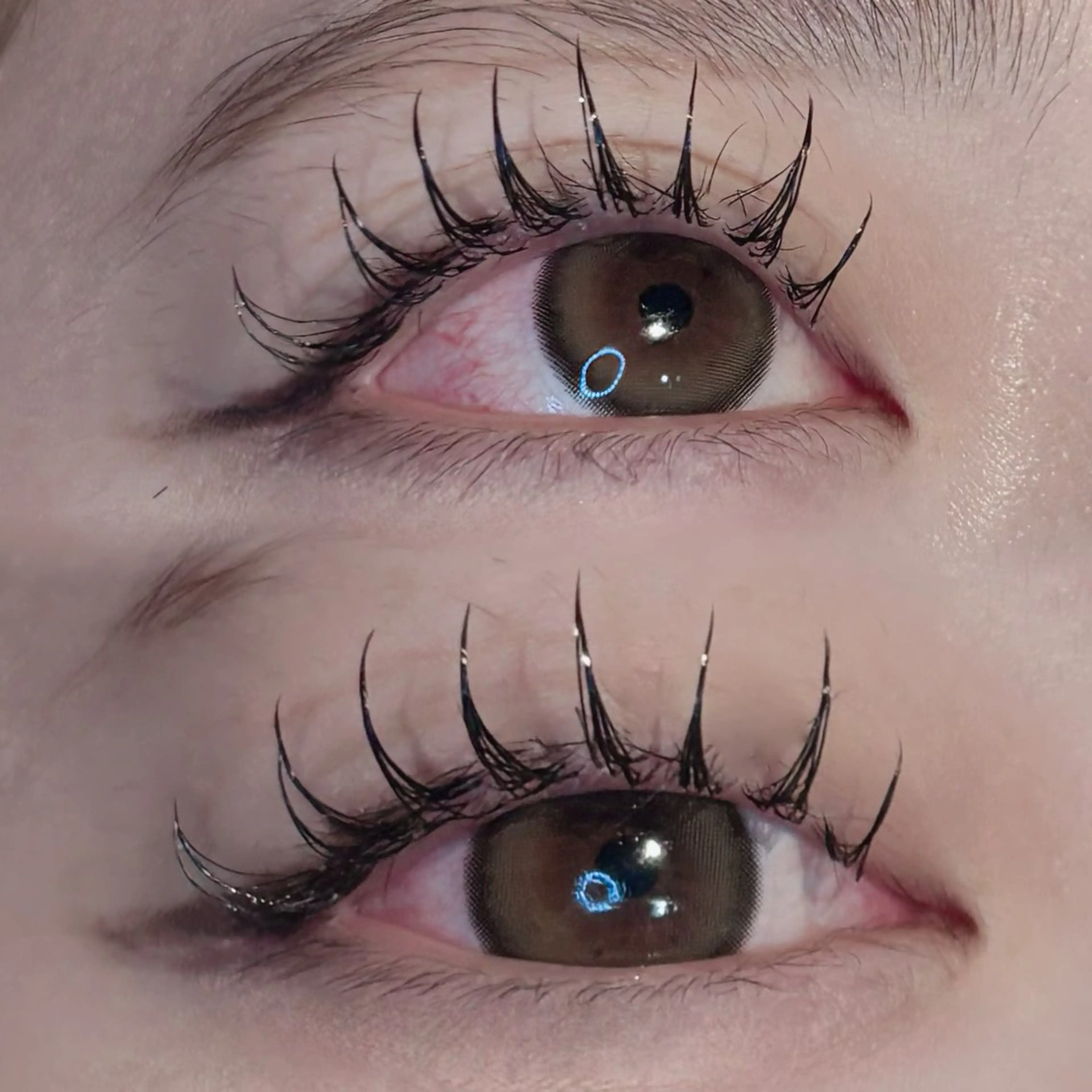 【学割U24】平日限定⭐️カシミアフラットラッシュ120本¥3680の写真