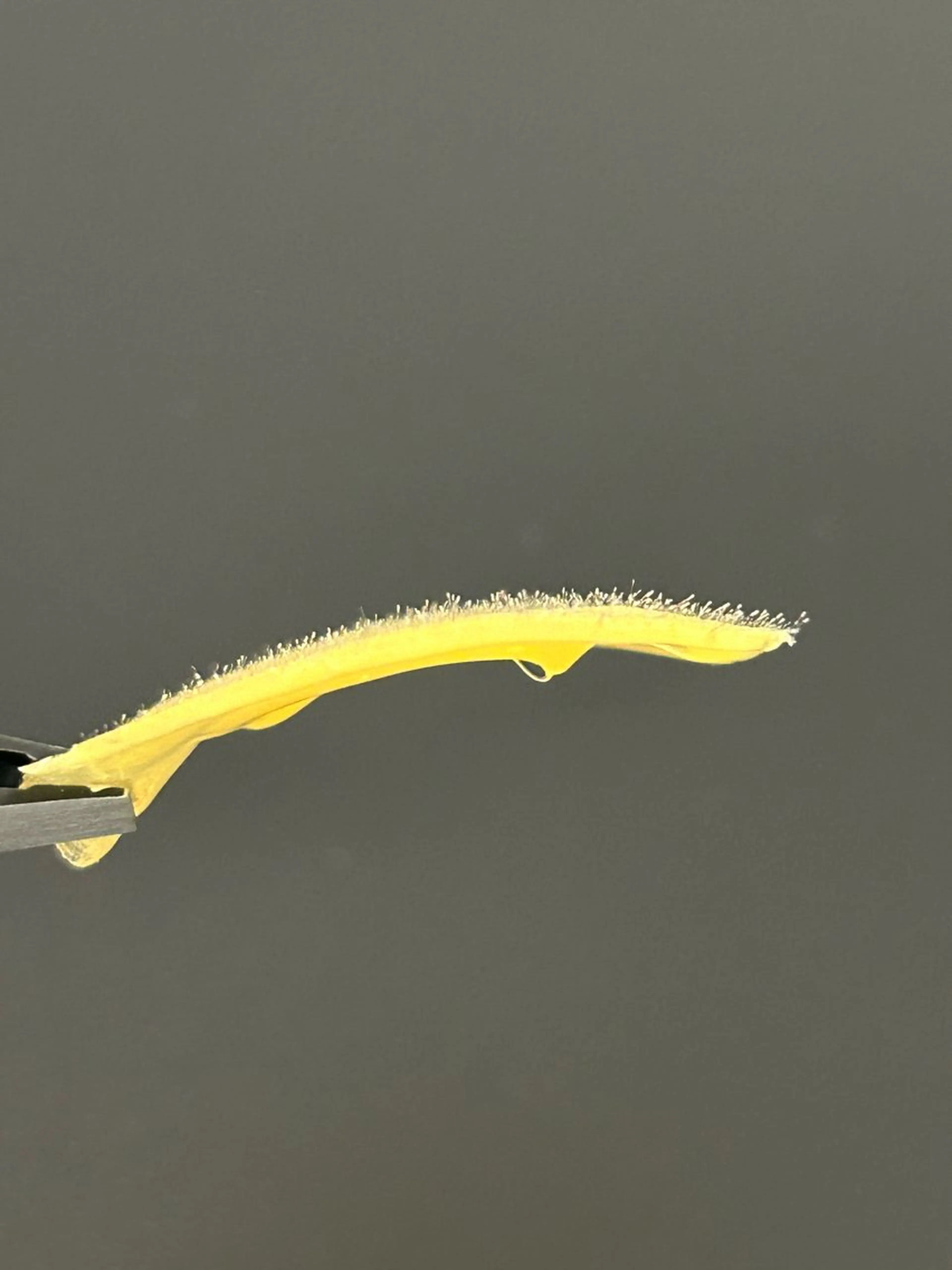 Brillér Aiの眉毛・アイブロウイメージ