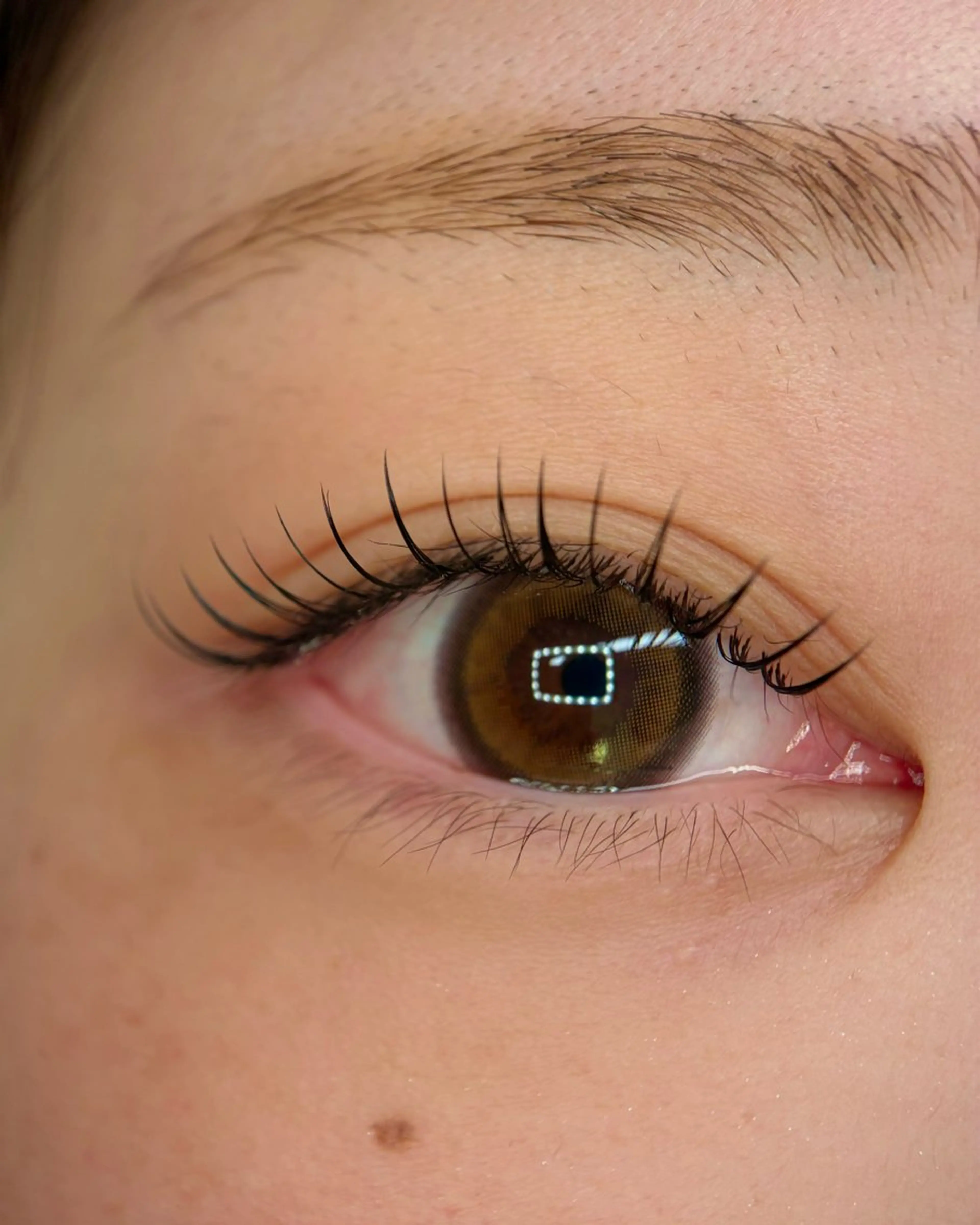 マツエク・マツパ Lushana 眉毛/まつ毛の眉毛・アイブロウイメージ