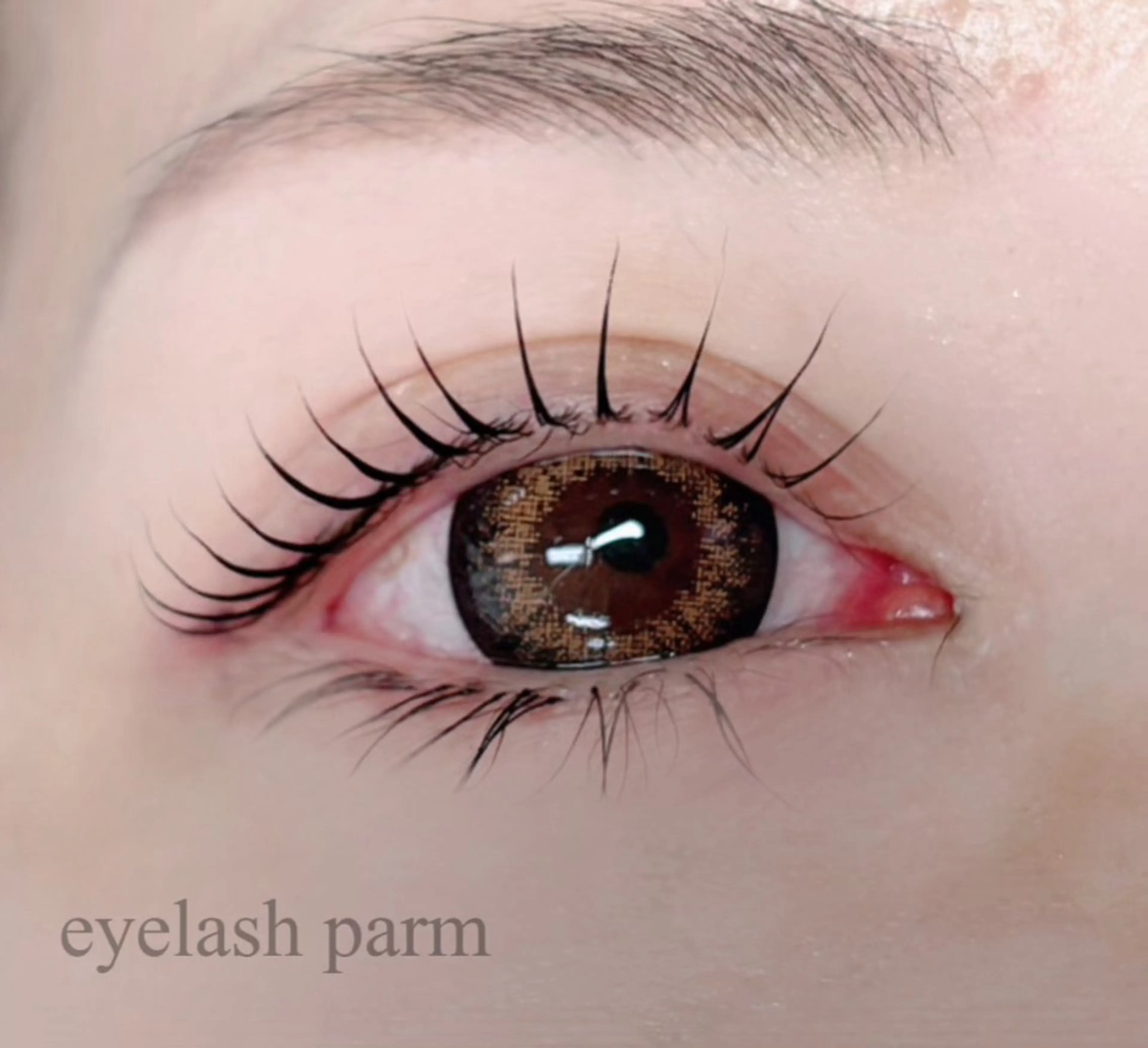 マツエク・マツパ 一重×まつ毛パーマ signpost 鈴木のマツエク・マツパデザイン