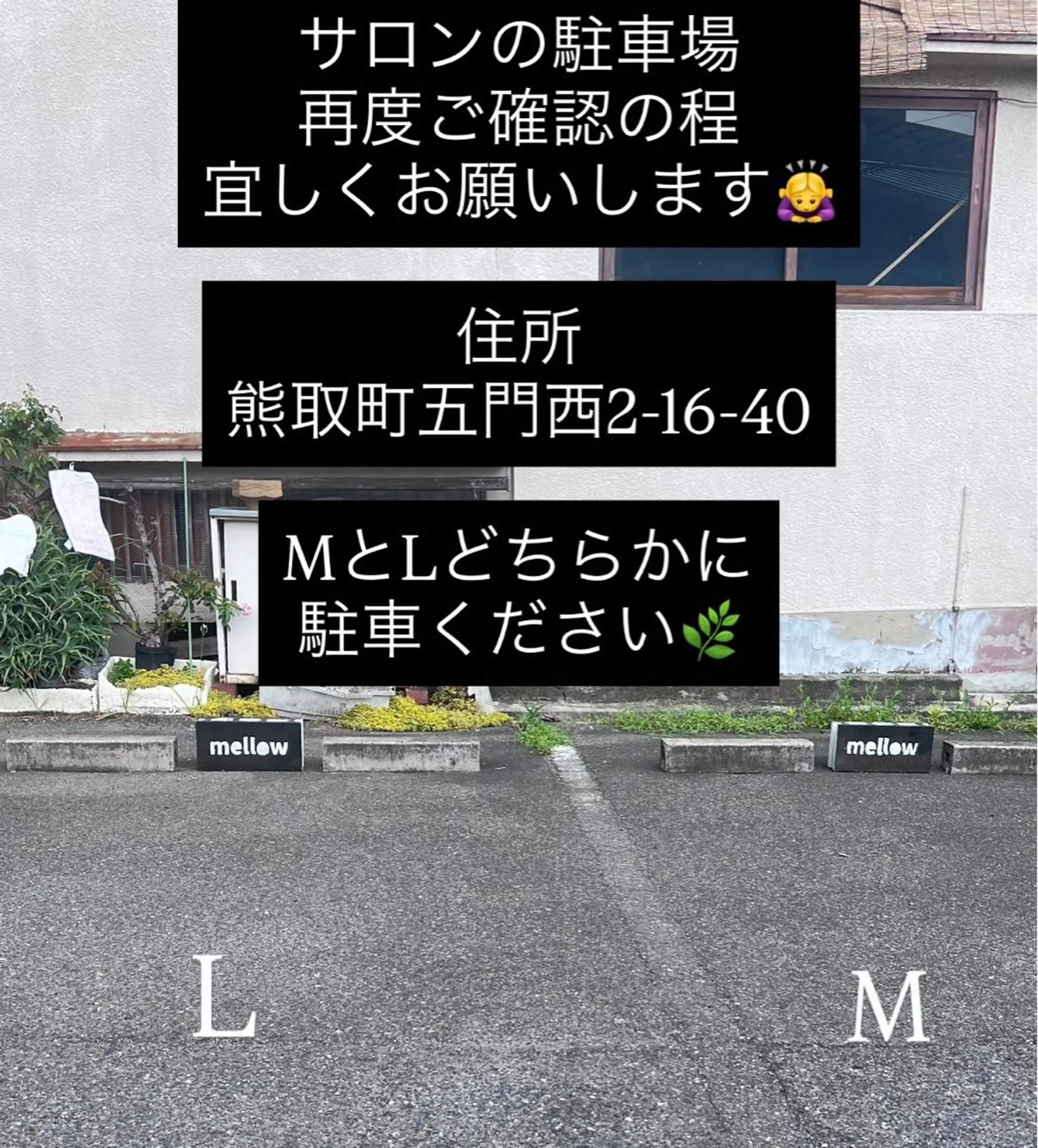 マツエク・マツパ mellow: eyelash熊取のマツエク・マツパデザイン