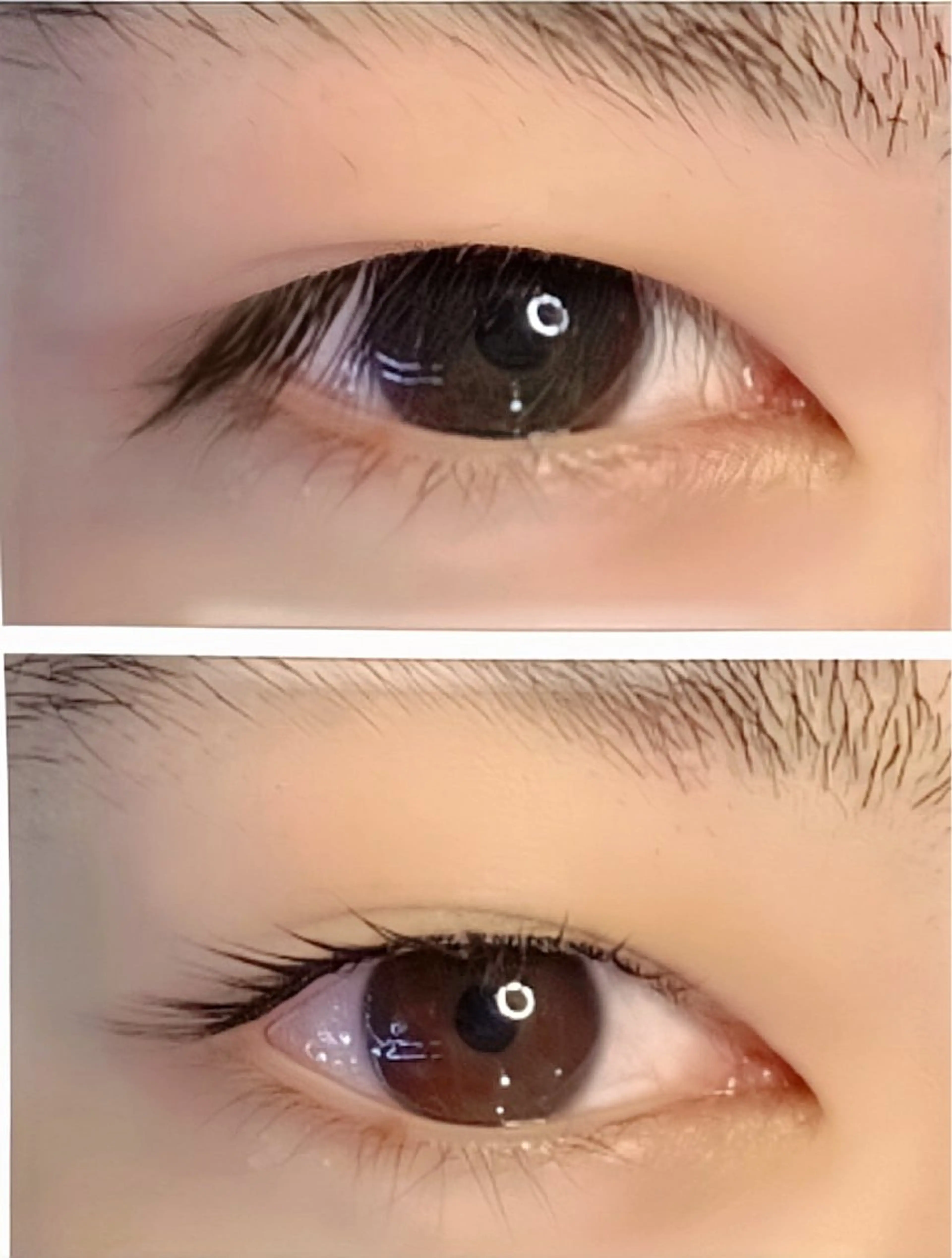 メンズ まつ毛パーマの写真