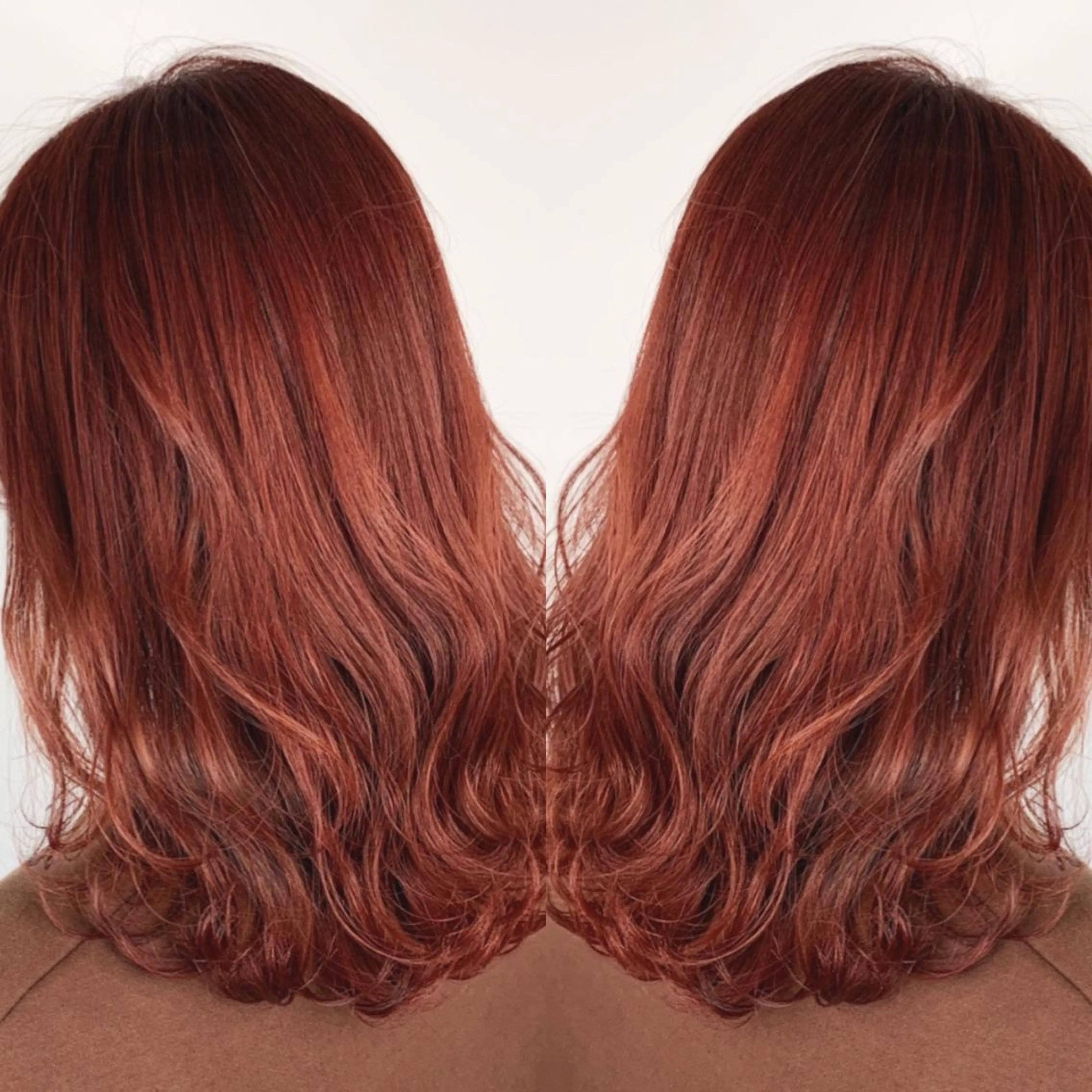 ミディアム レッドブラウン カット ヘアカラー トリートメント 【White京橋】 岸　拓斗のヘアスタイル