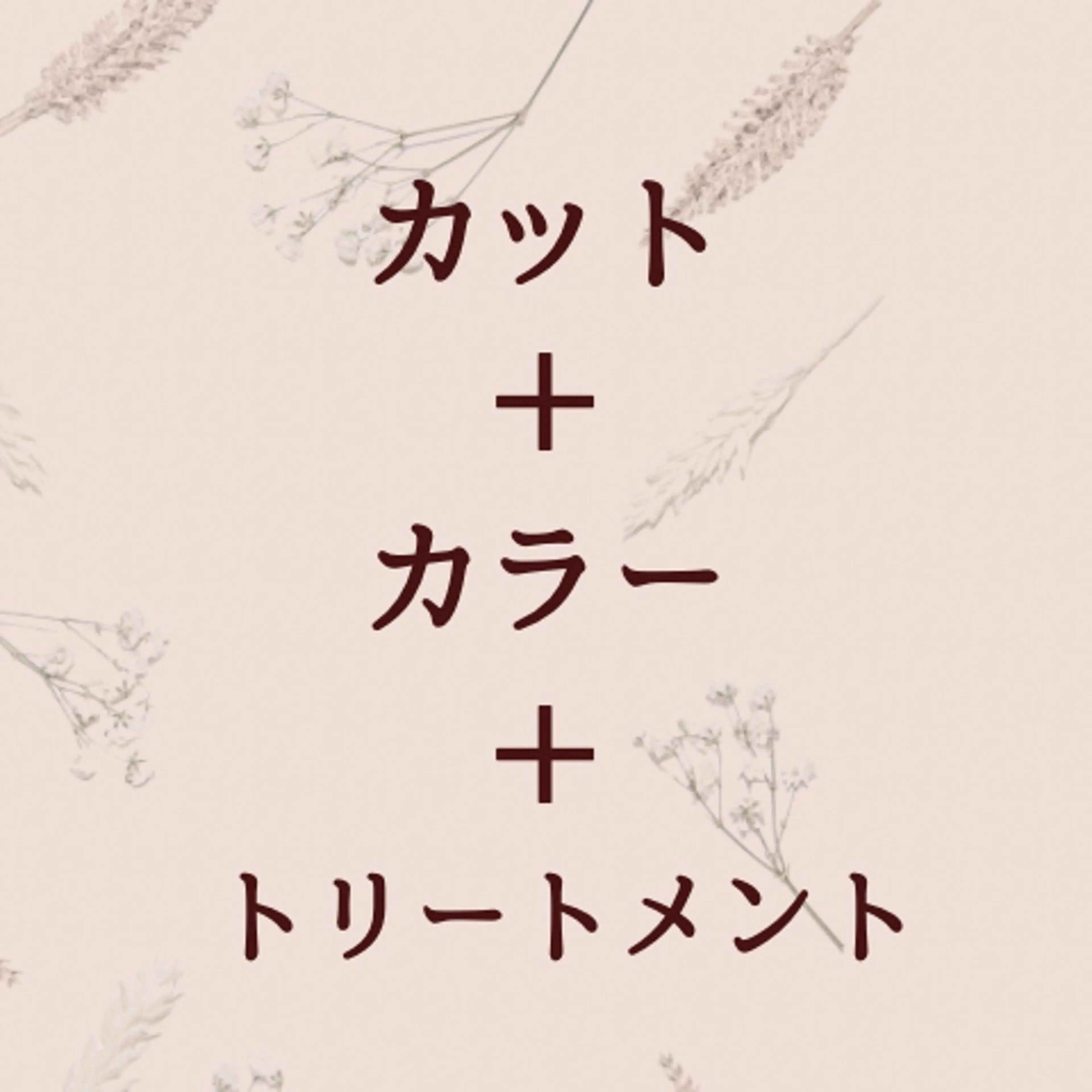 《美髪ケア付》カット+カラー+トリートメントの写真