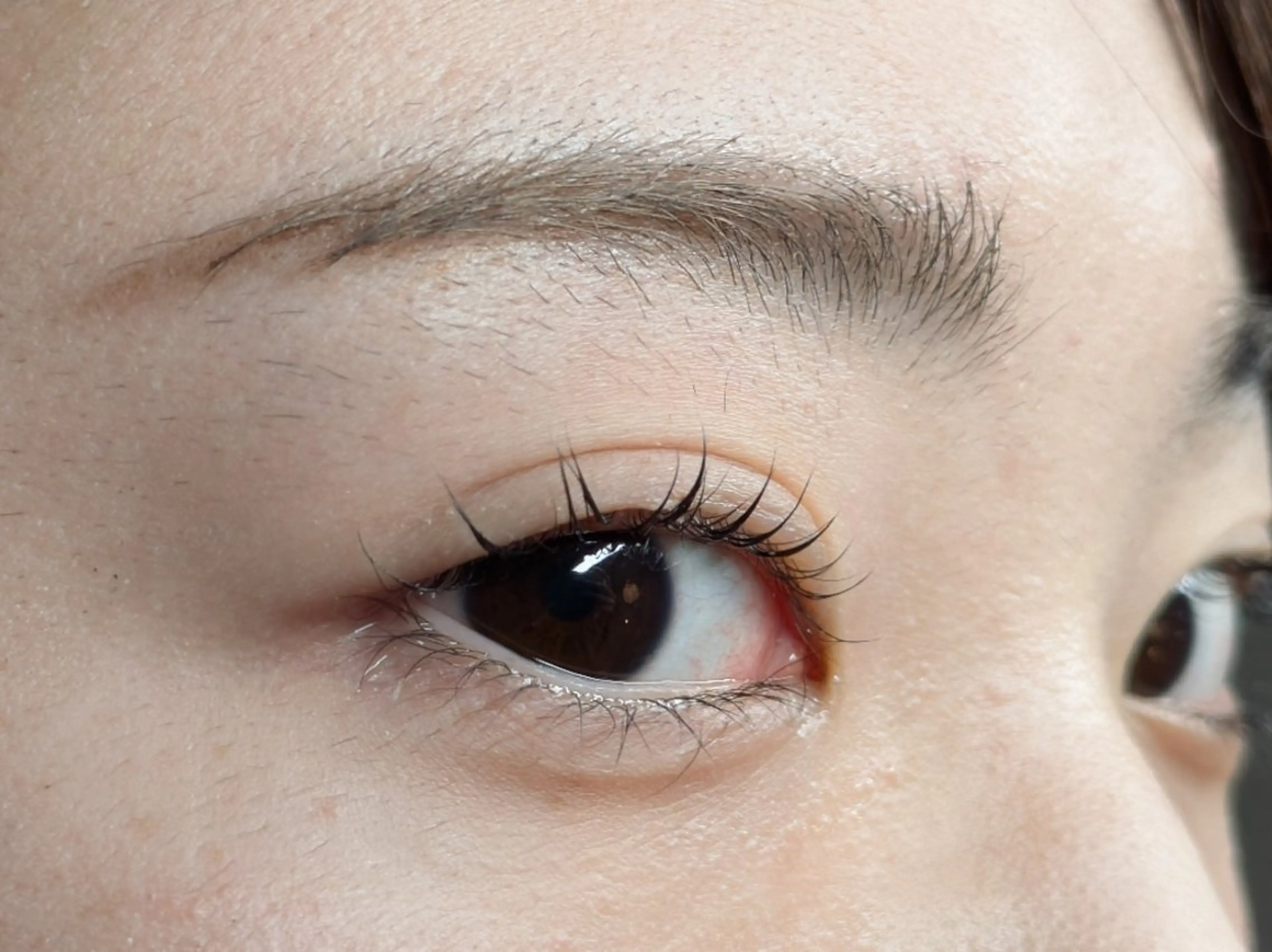 マツエク・マツパ パリジェンヌラッシュリフト まつげパーマ Sun Brown Ryu-gaのマツエク・マツパデザイン