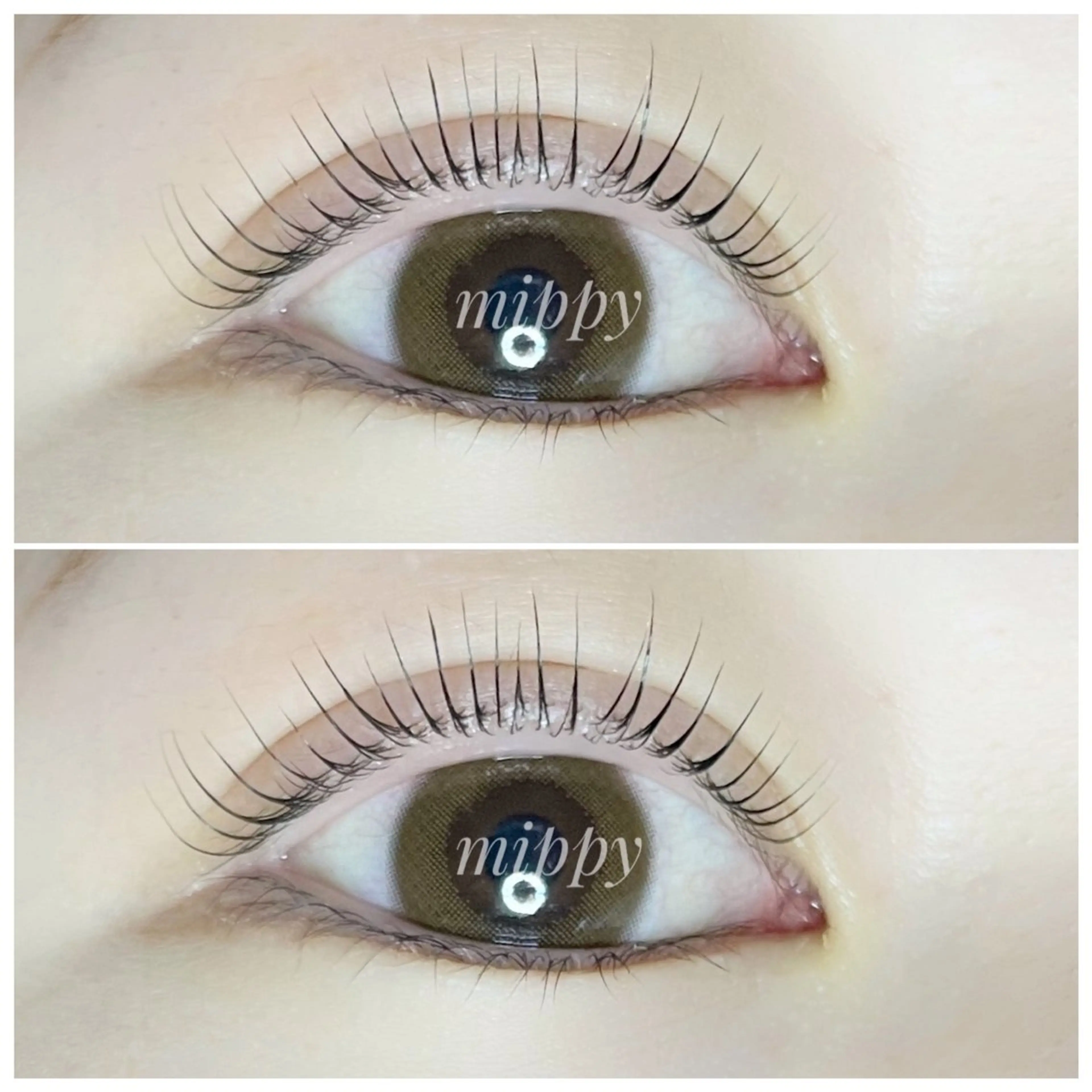 マツエク・マツパ ｍｉｐｐｙ 🪽のマツエク・マツパデザイン