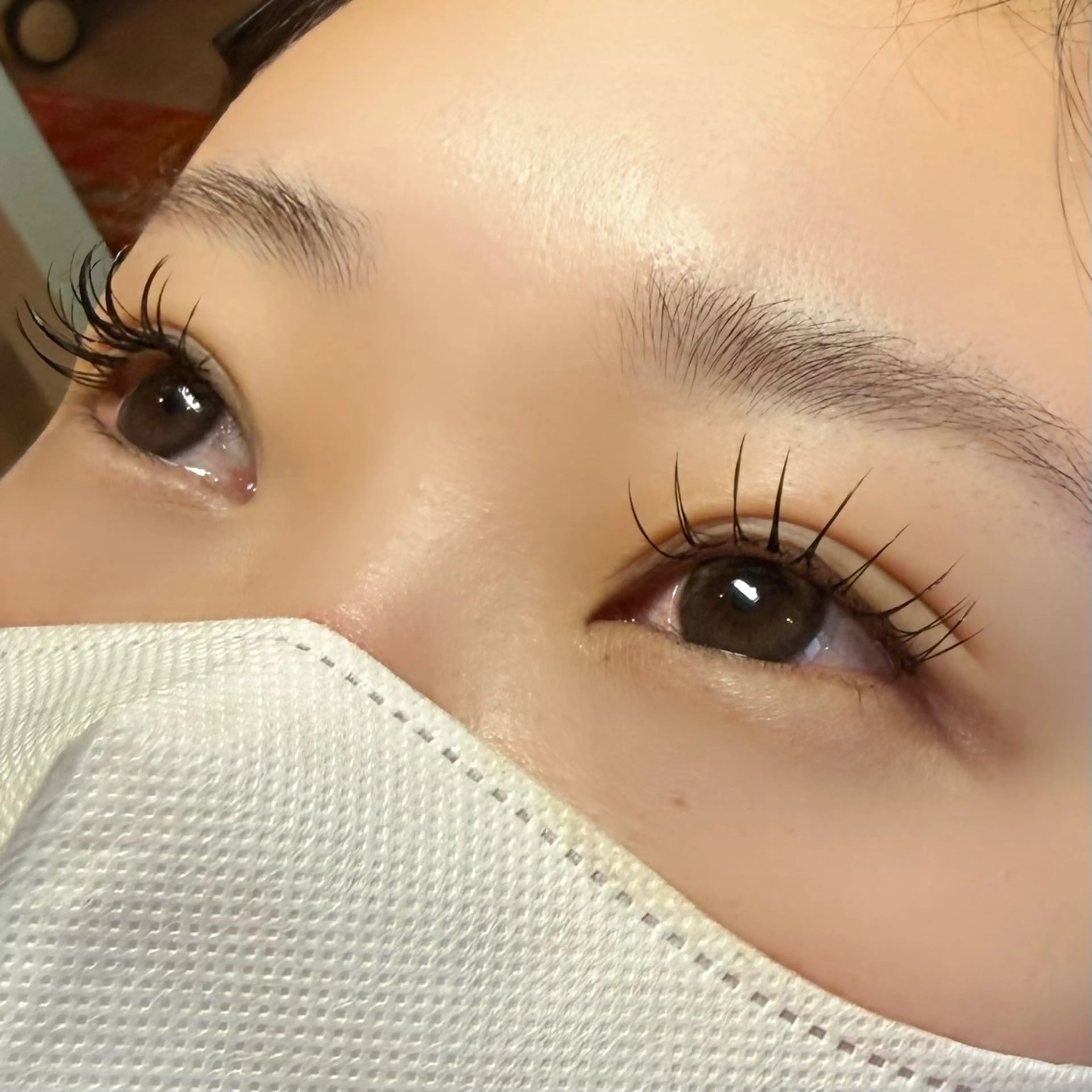 高級ミンクラッシュ120本の写真