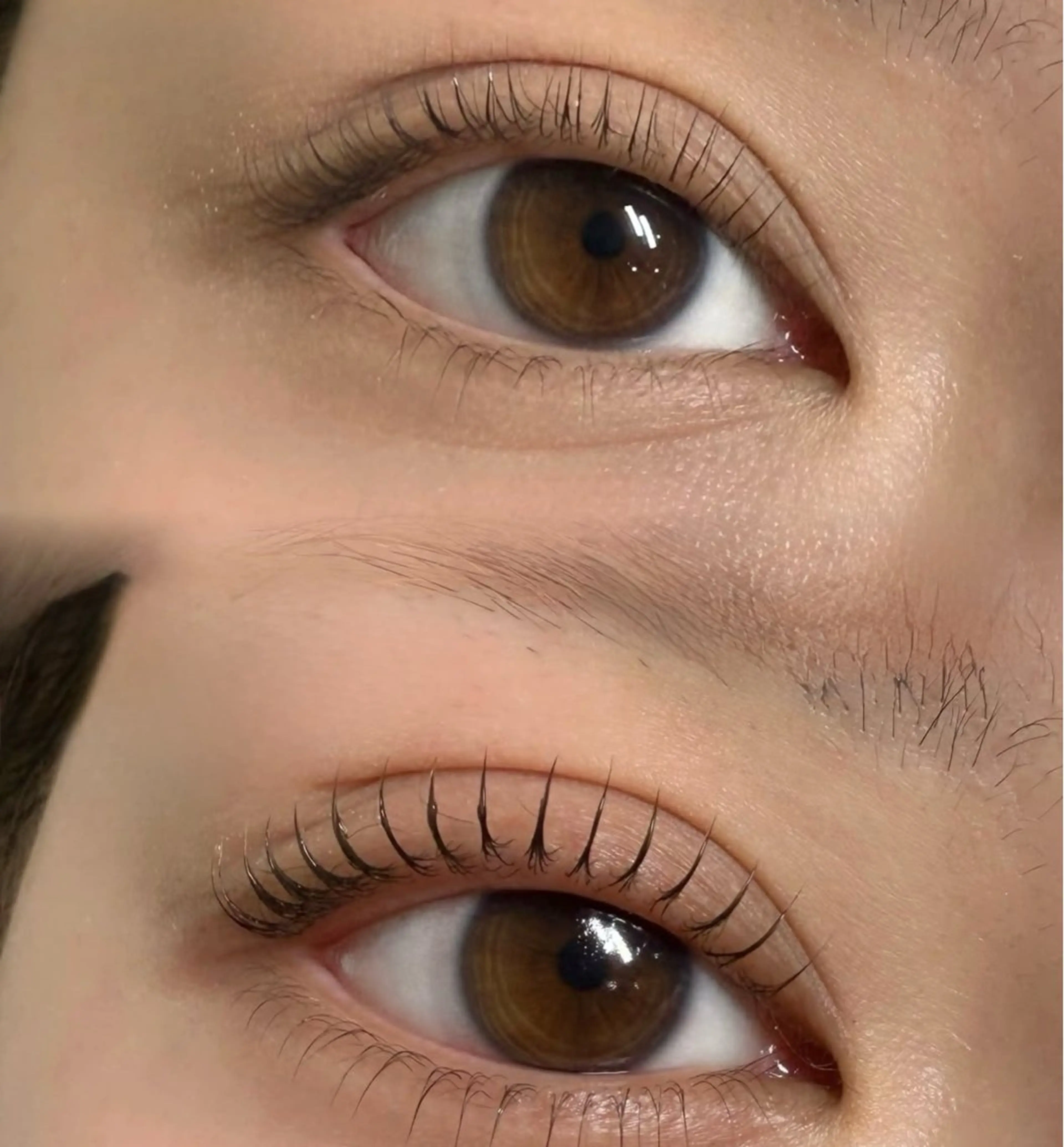 マツエク・マツパ 束感まつ毛 まつげパーマ マツパ 池袋💖 チルザルトサロンのマツエク・マツパデザイン